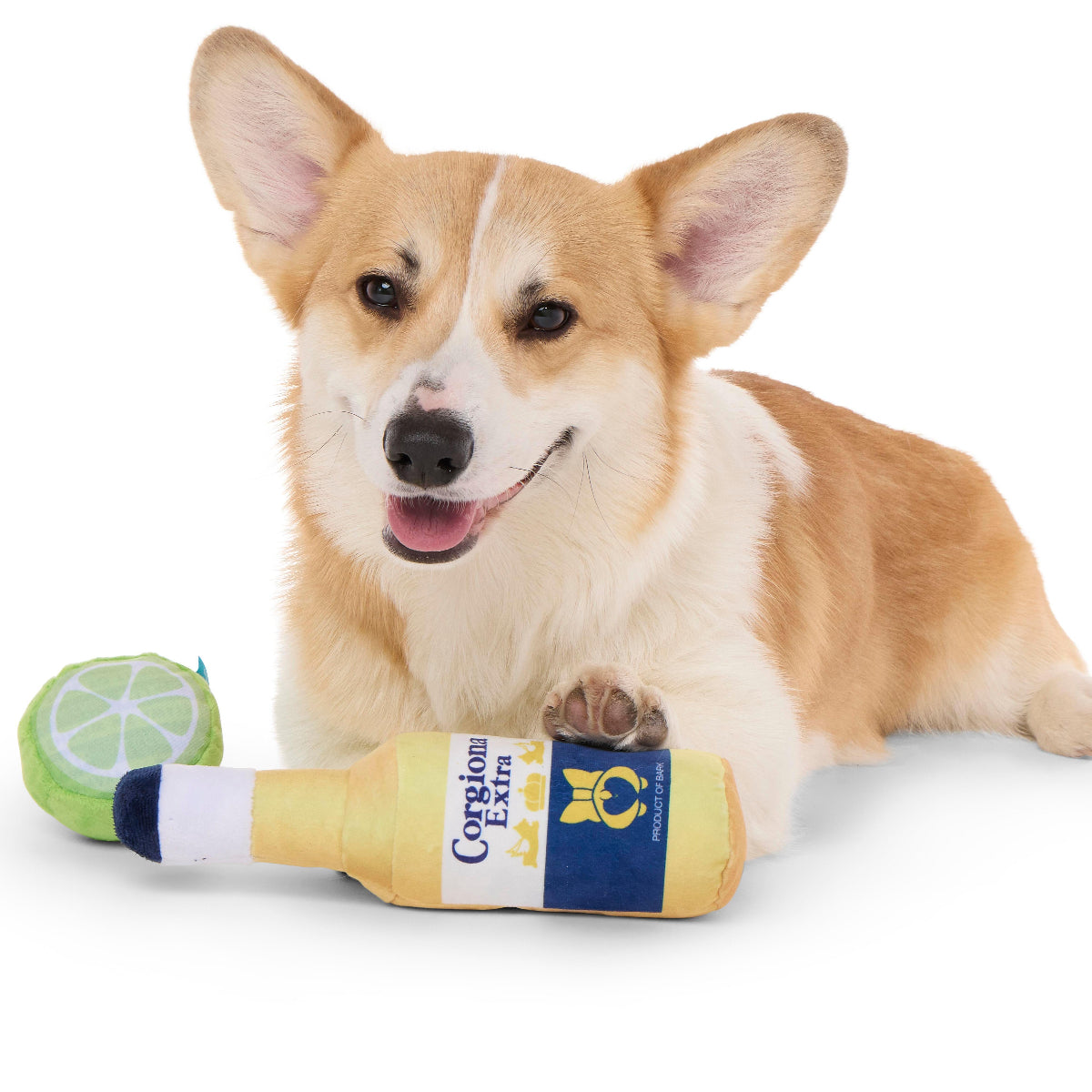 Corgiona With Lime Plush Multi-Part Dog Toy
