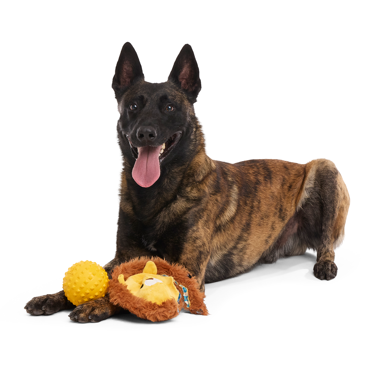 Lionel Lion Super Chewer Durable 2-in-1 + Fetch Dog Toy