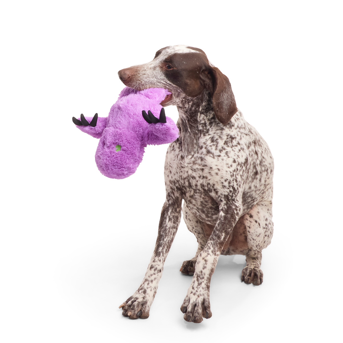 Meep The Creep Plush Extra-Large + Tug Dog Toy