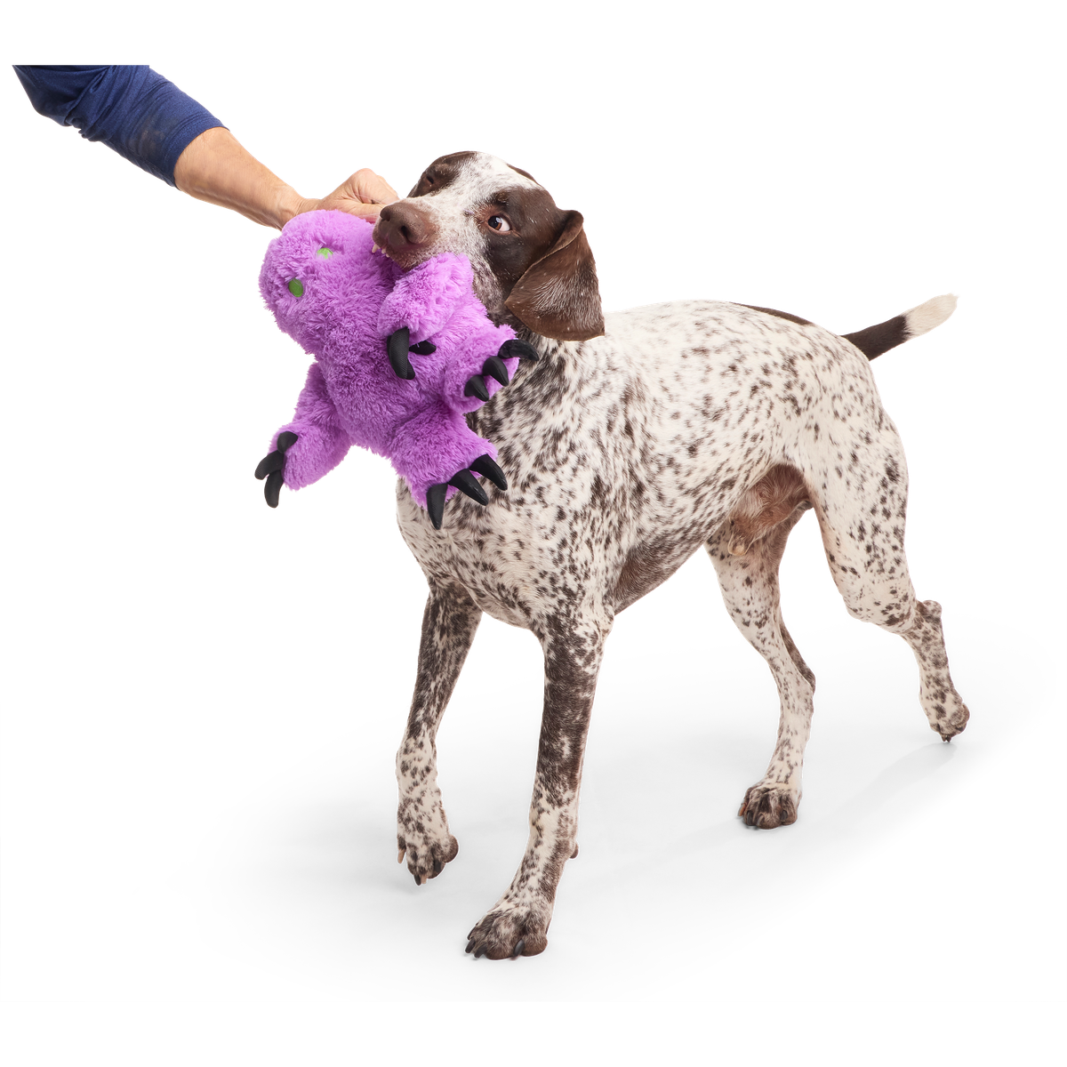 Meep The Creep Plush Extra-Large + Tug Dog Toy