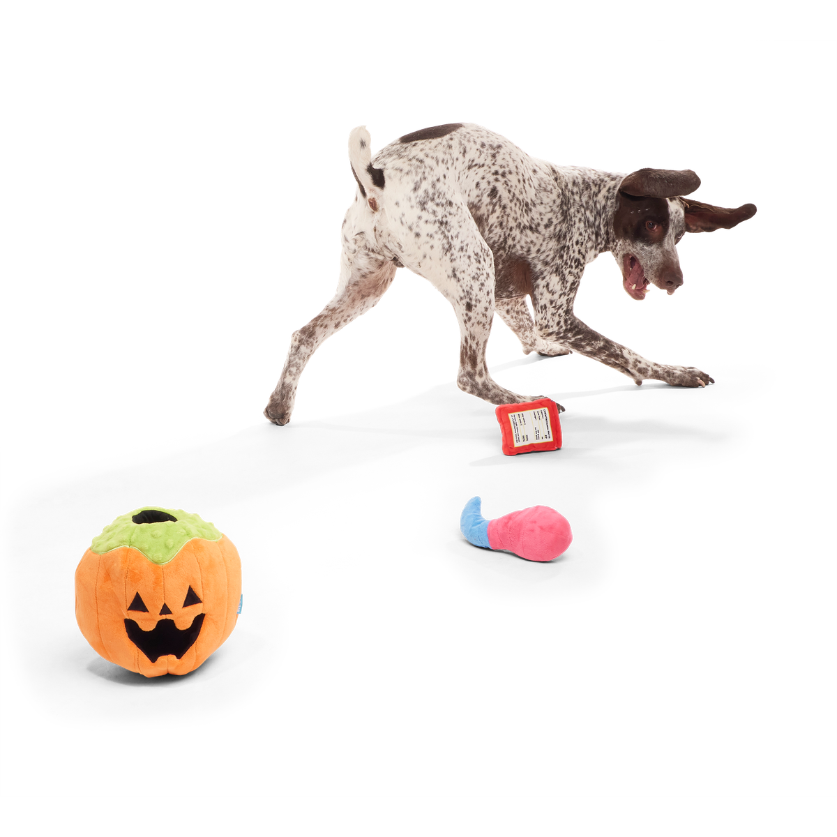 Howl-o-ween Haul Plush Extra-Large + Multi-Part + Enrichment Dog Toy