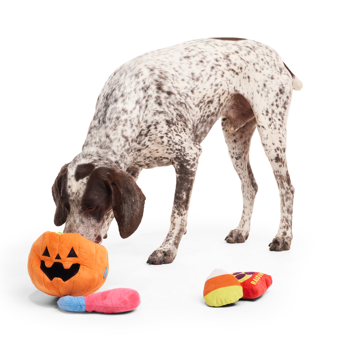 Howl-o-ween Haul Plush Extra-Large + Multi-Part + Enrichment Dog Toy