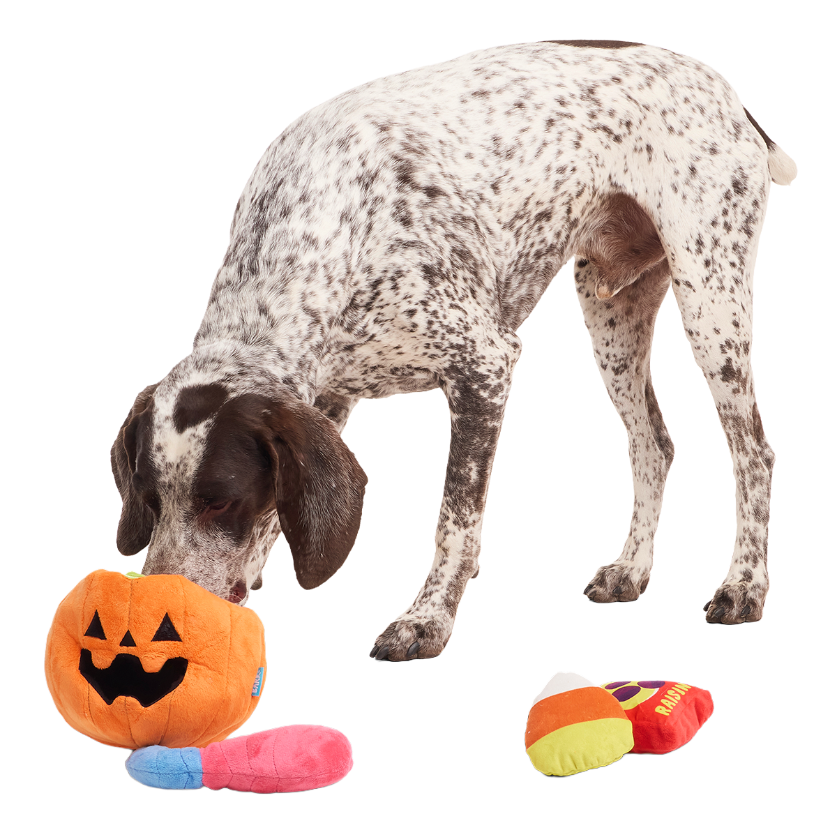 Howl-o-ween Haul Plush Extra-Large + Multi-Part + Enrichment Dog Toy