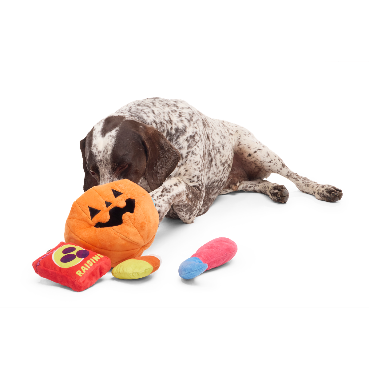 Howl-o-ween Haul Plush Extra-Large + Multi-Part + Enrichment Dog Toy
