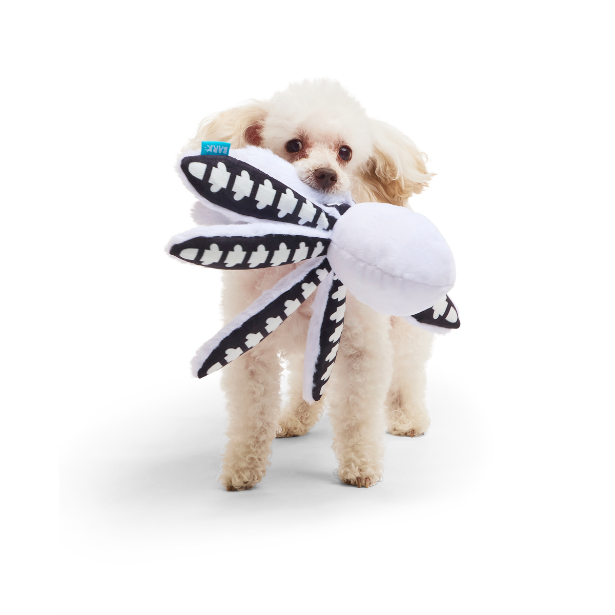 Sk-Ollie-Ton Plush Tug Dog Toy