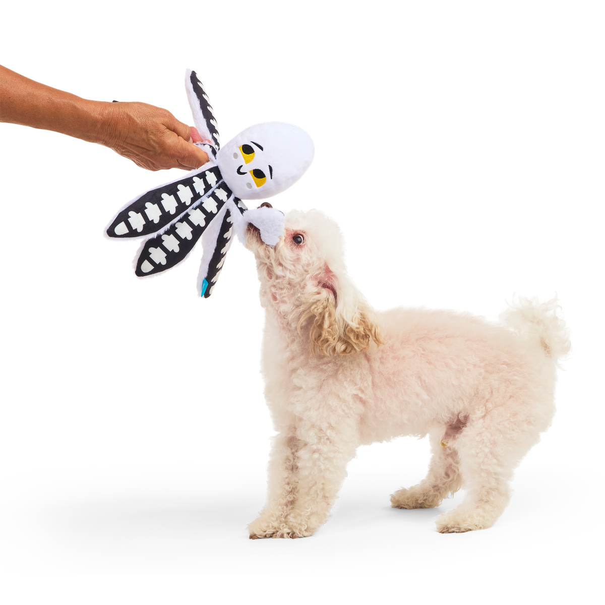 Sk-Ollie-Ton Plush Tug Dog Toy