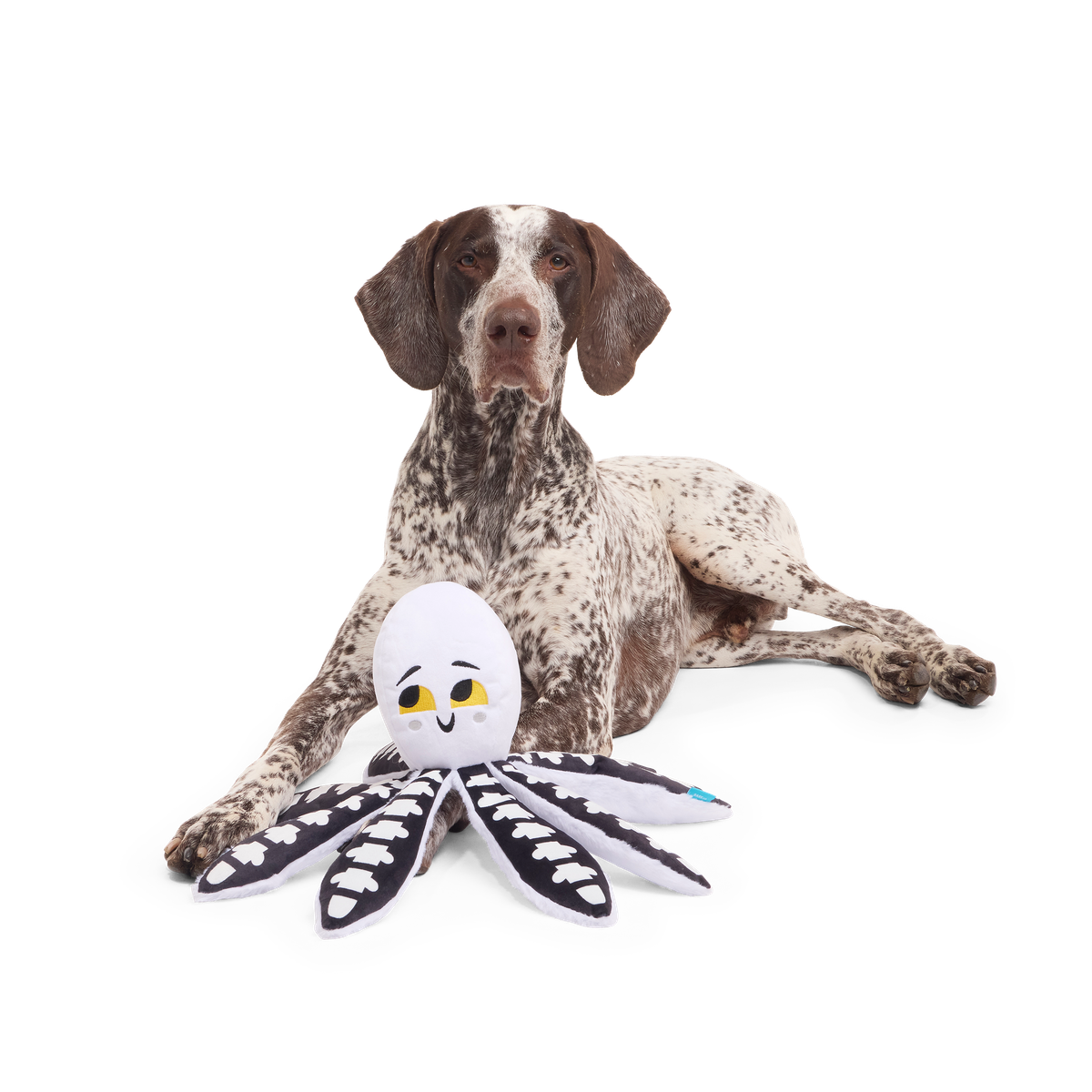 Sk-Ollie-Ton Plush Tug Dog Toy
