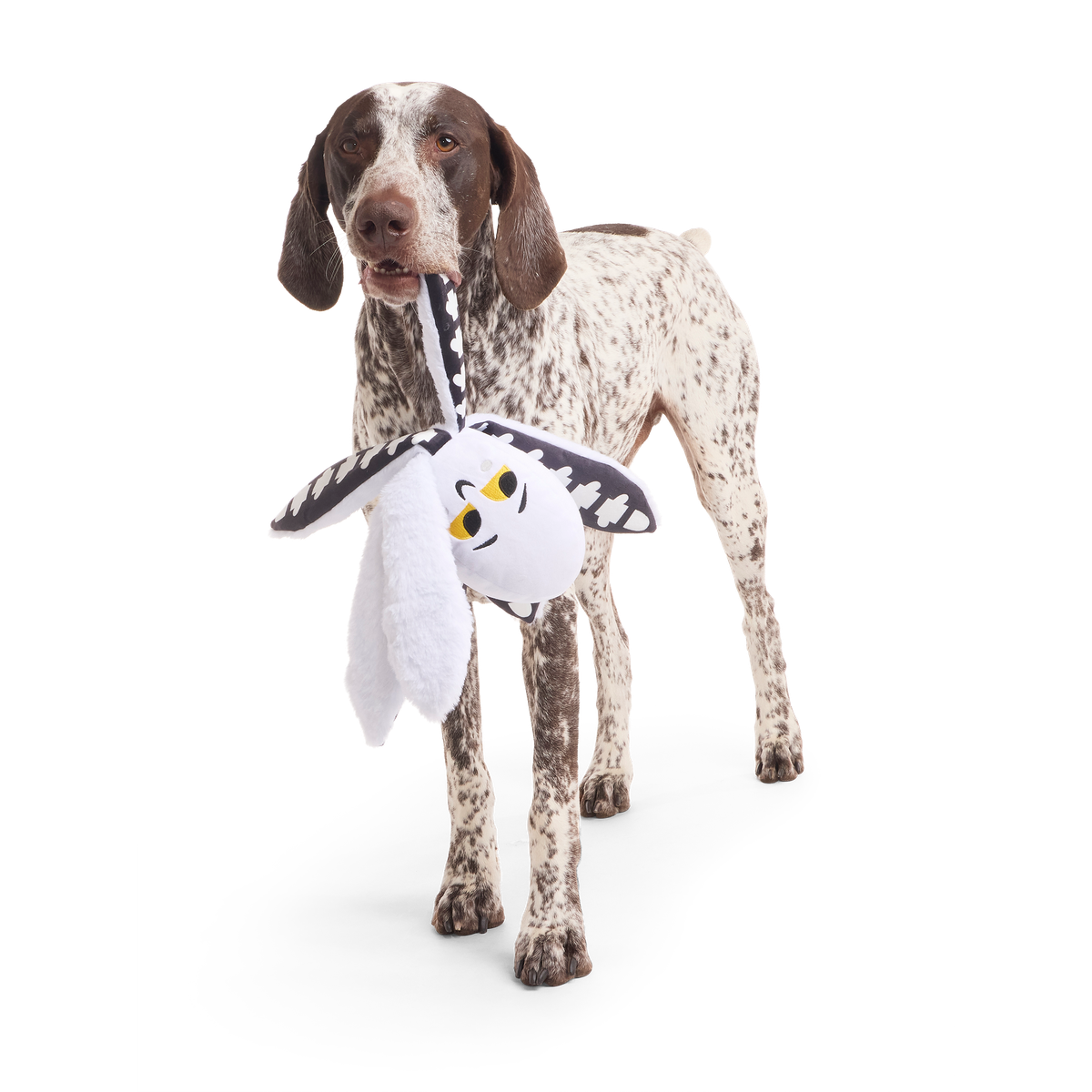 Sk-Ollie-Ton Plush Tug Dog Toy