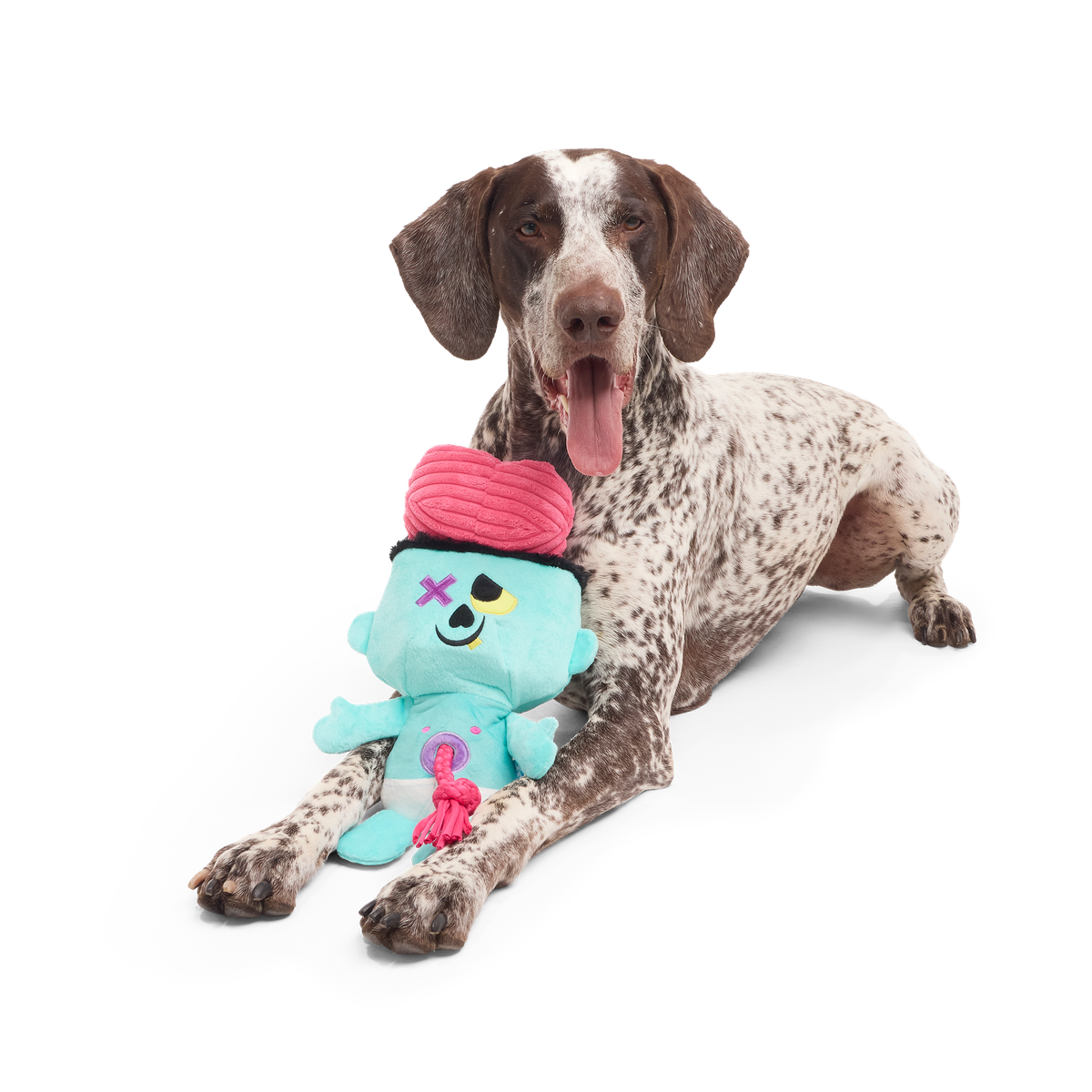Ghoul-Ghoul Ga-Ga Plush Tug Dog Toy