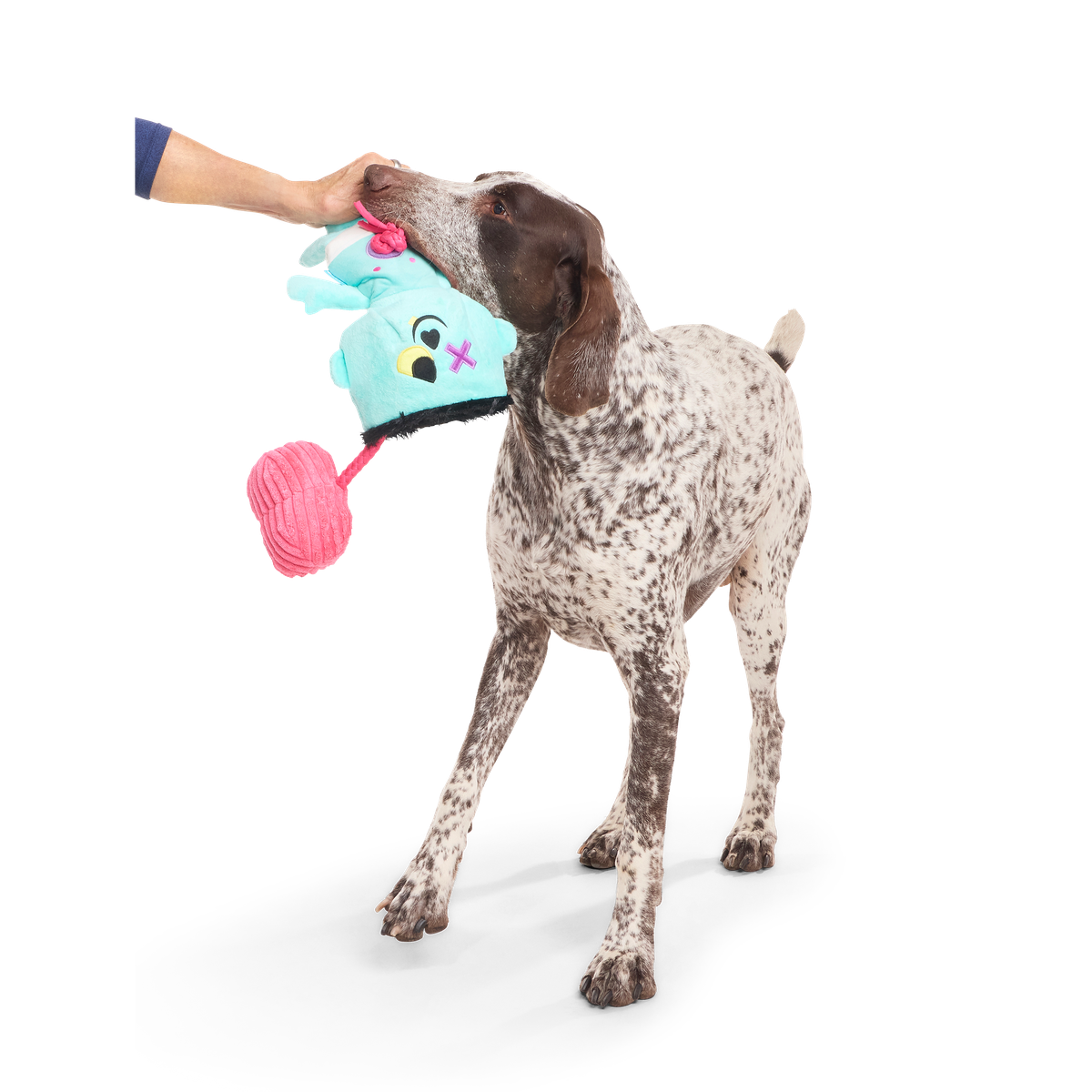 Ghoul-Ghoul Ga-Ga Plush Tug Dog Toy