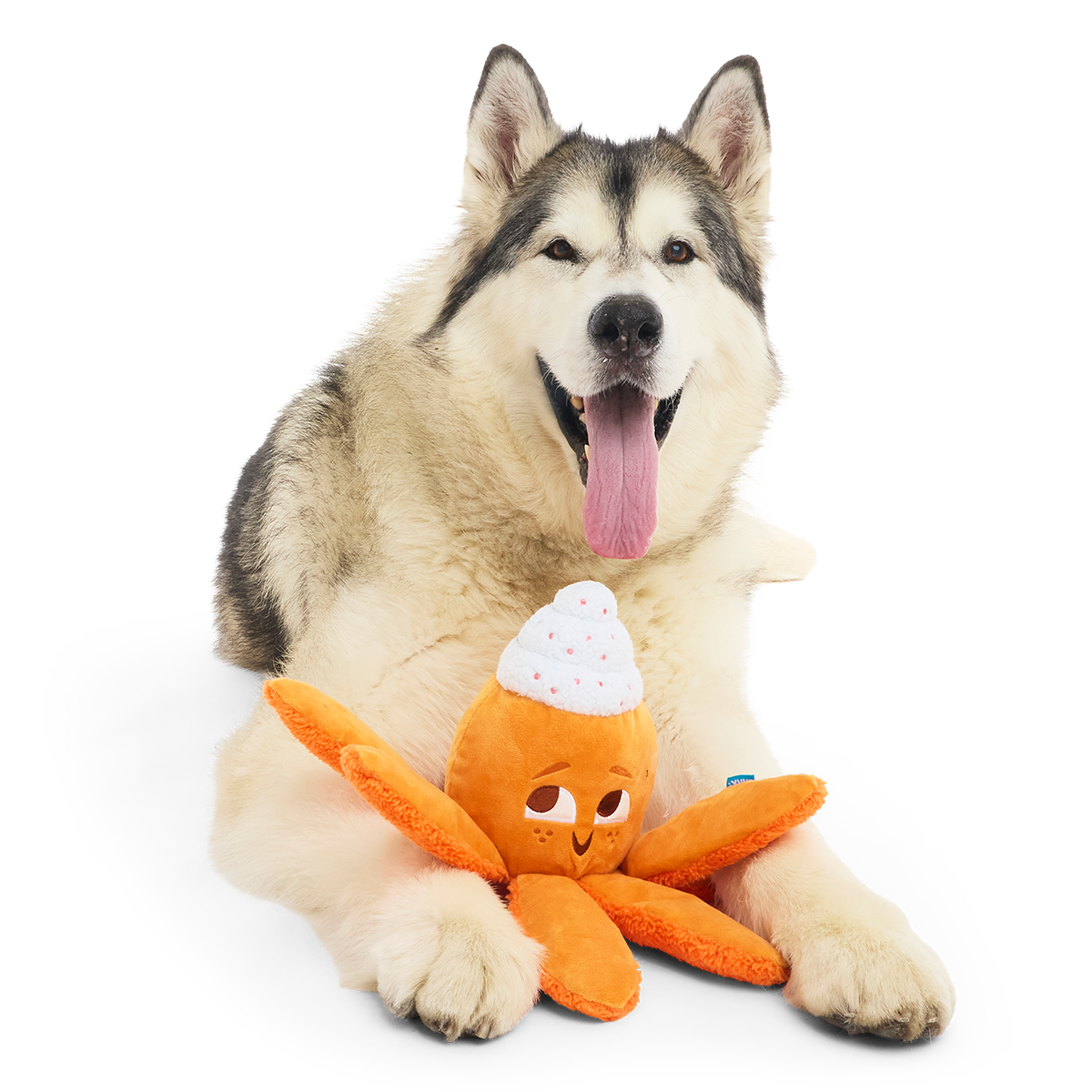 Pumpkin Spice Ollie Plush Tug Dog Toy