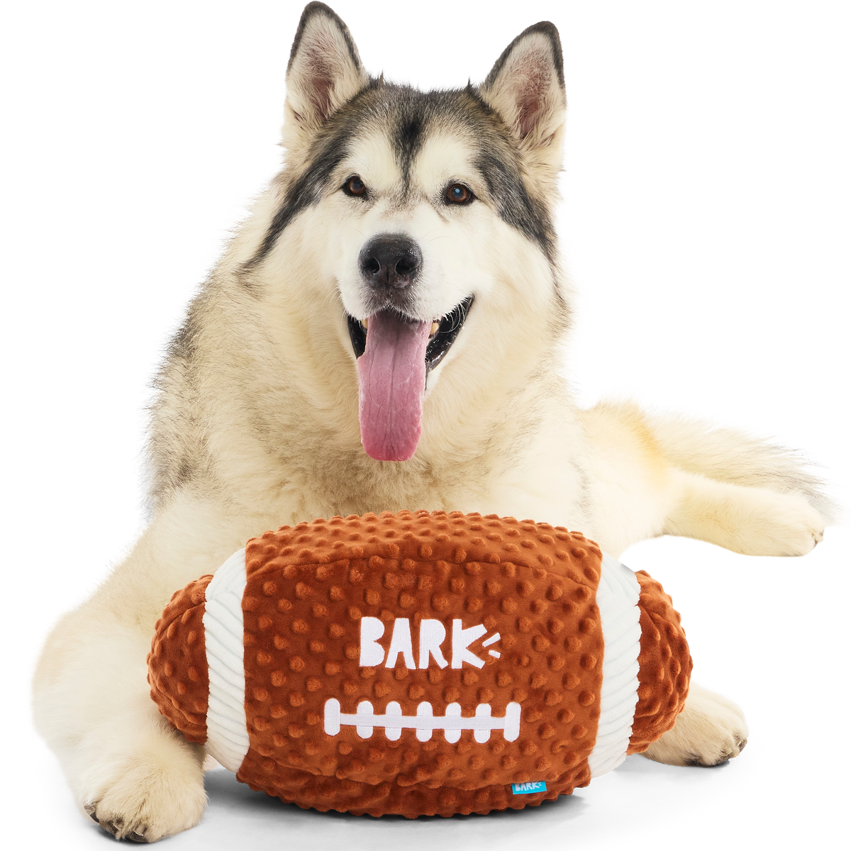 Wide Retriever Plush Fetch + Extra-Large Dog Toy – BARK