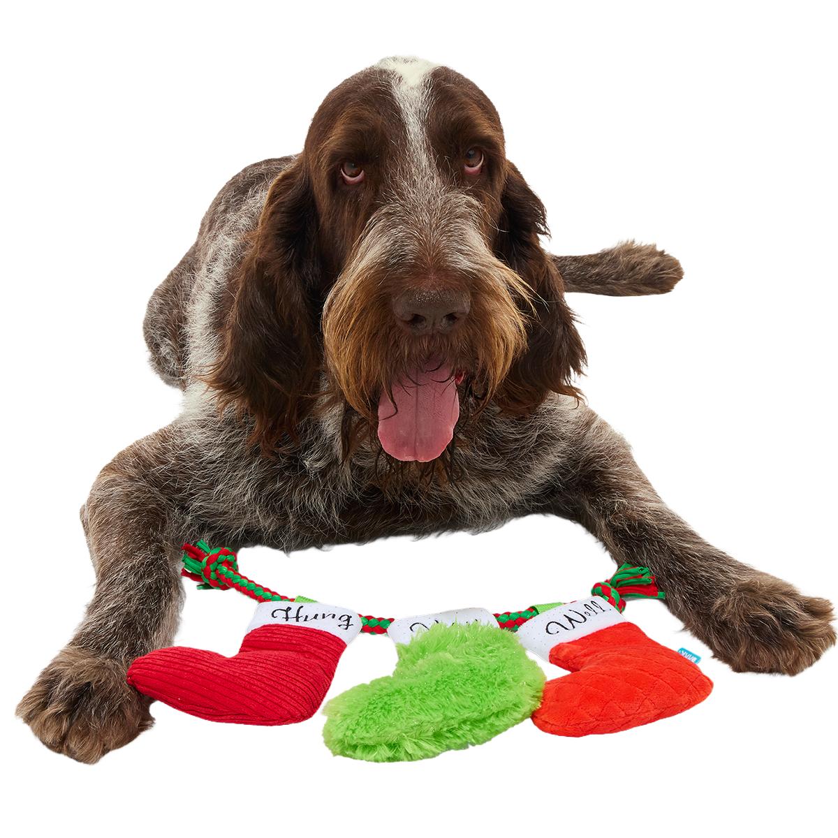 Well Hung Stockings Plush Extra-Large + Tug + Enrichment Dog Toy