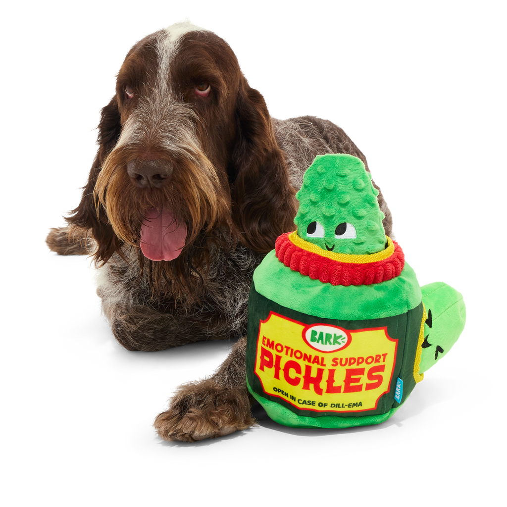 Dill-emma Squad Pickle Plush Extra-Large + Multi-Part Dog Toy – BARK