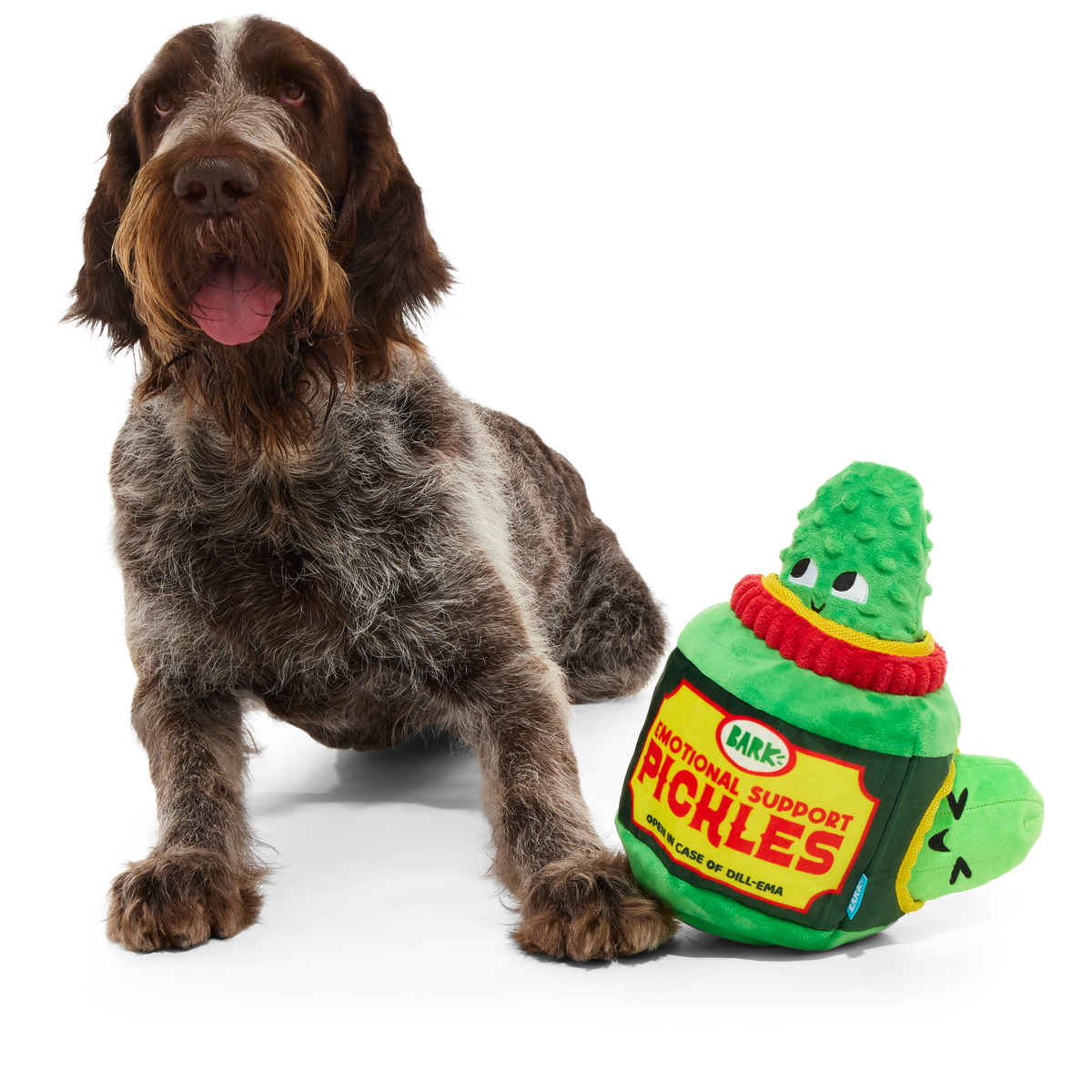 Dill-emma Squad XL Multipart Pickle Plush Dog Toy