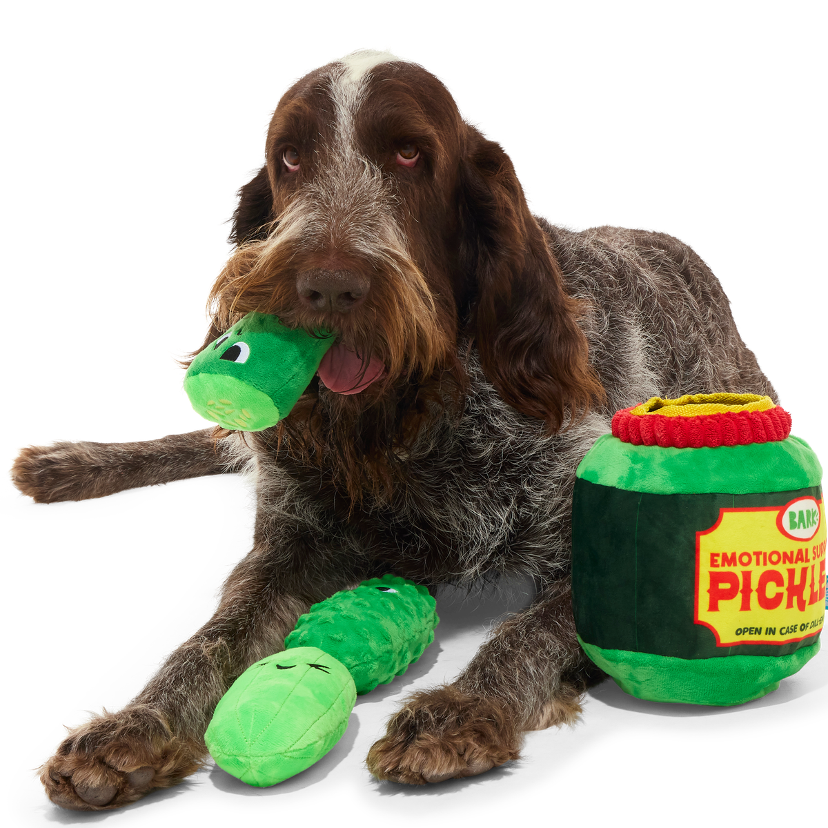 Dill-emma Squad XL Multipart Pickle Plush Dog Toy