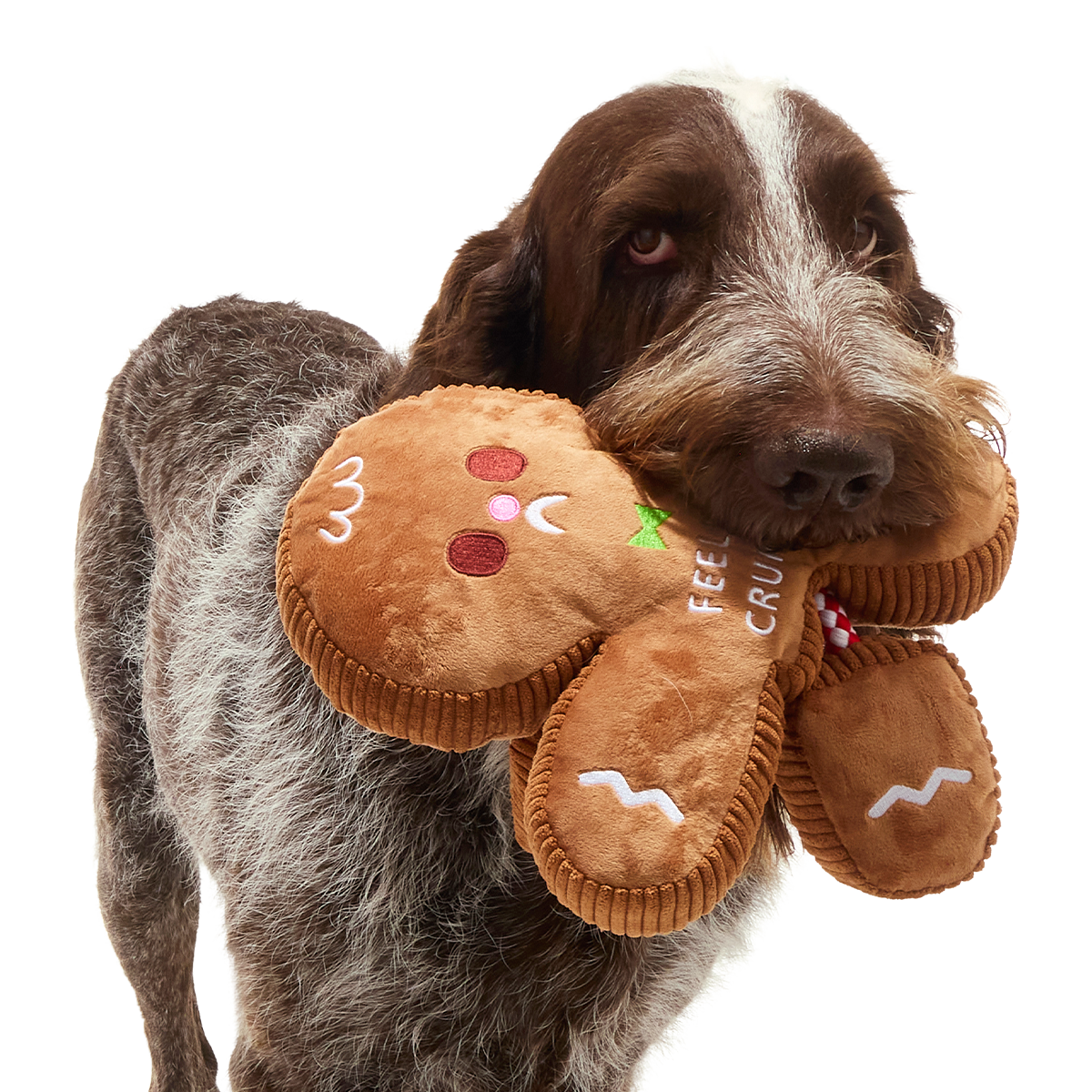 The Crumbum King Plush Extra-Large + Tug Dog Toy