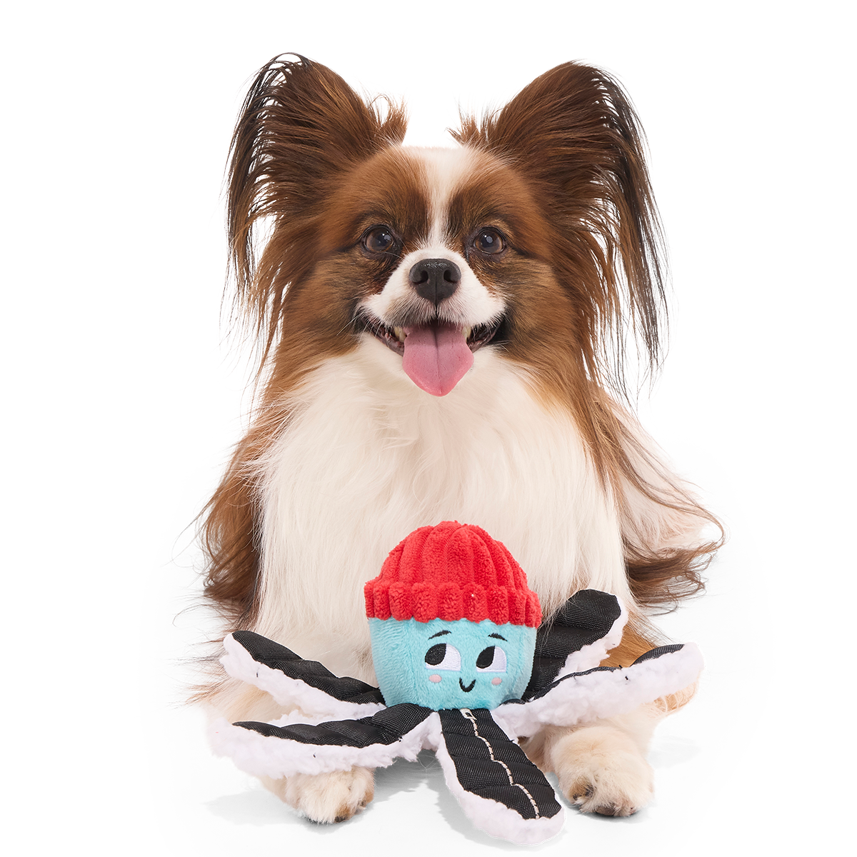 Arctic Ollie Plush Tug Dog Toy
