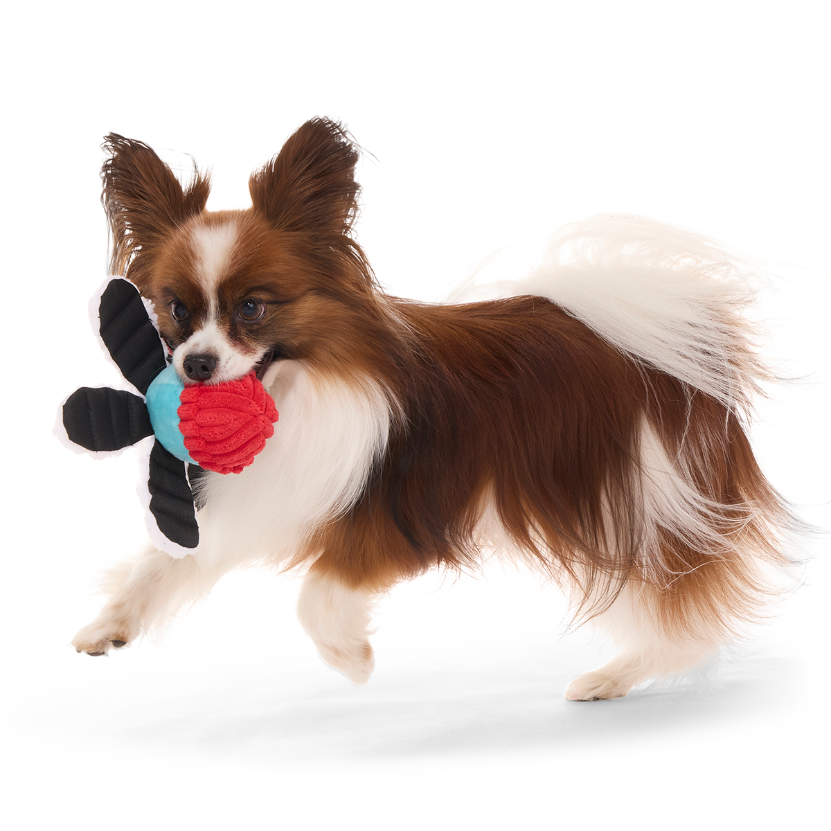 Arctic Ollie Plush Tug Dog Toy