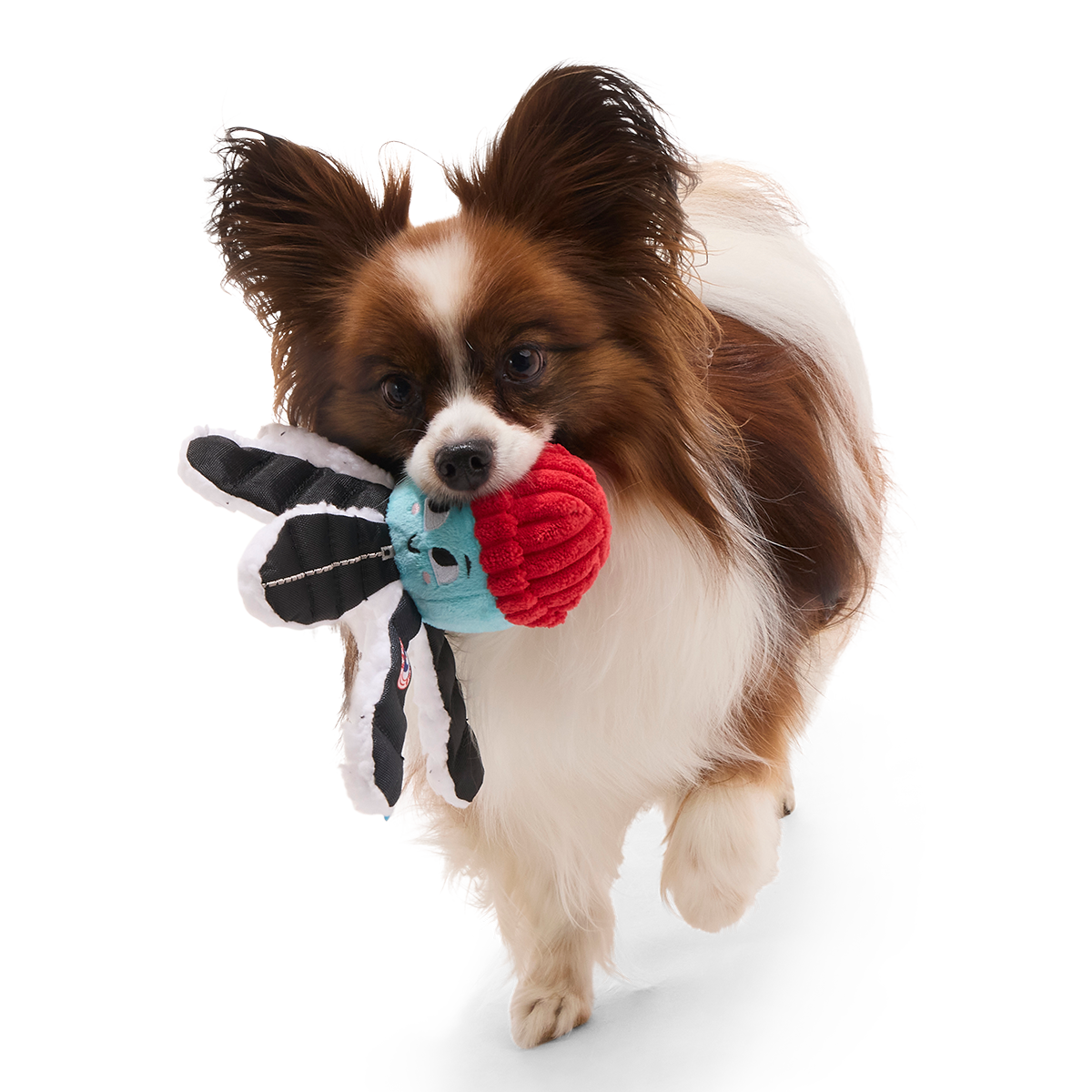 Arctic Ollie Plush Tug Dog Toy