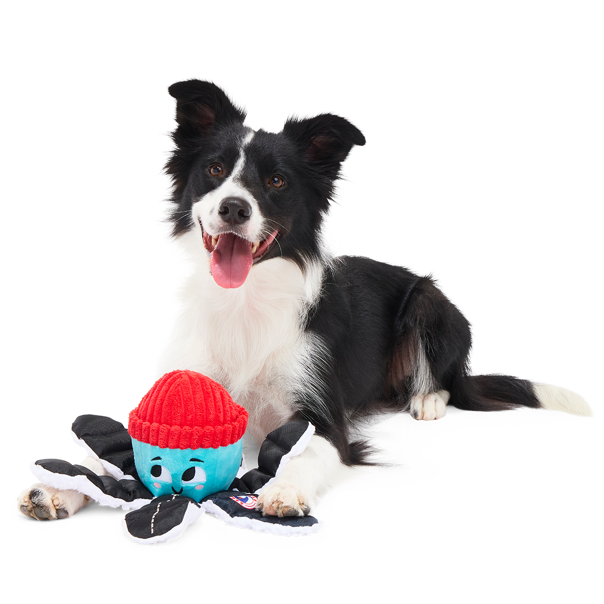 Arctic Ollie Plush Tug Dog Toy