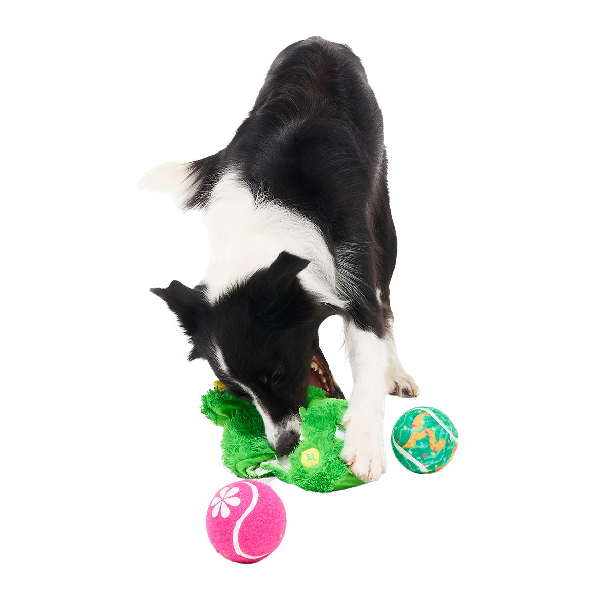 Tree's Company Plush 2-in-1 + Fetch Dog Toy