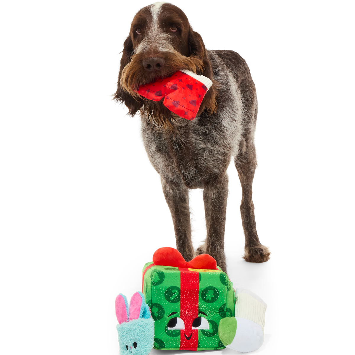 Holly Day's Presents