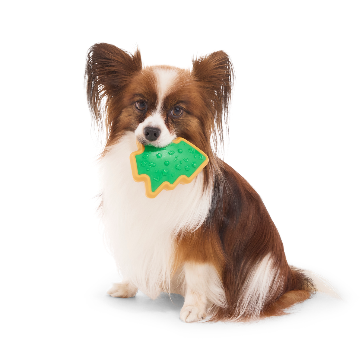 ATB_217989_HARD-BAKED-SUGRRRR-COOKIE-S_MAJOR-GATOR_1329_cropped#Size_S