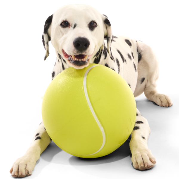 Chompianship Ball Super Chewer Durable Extra-Large + Fetch Dog Toy