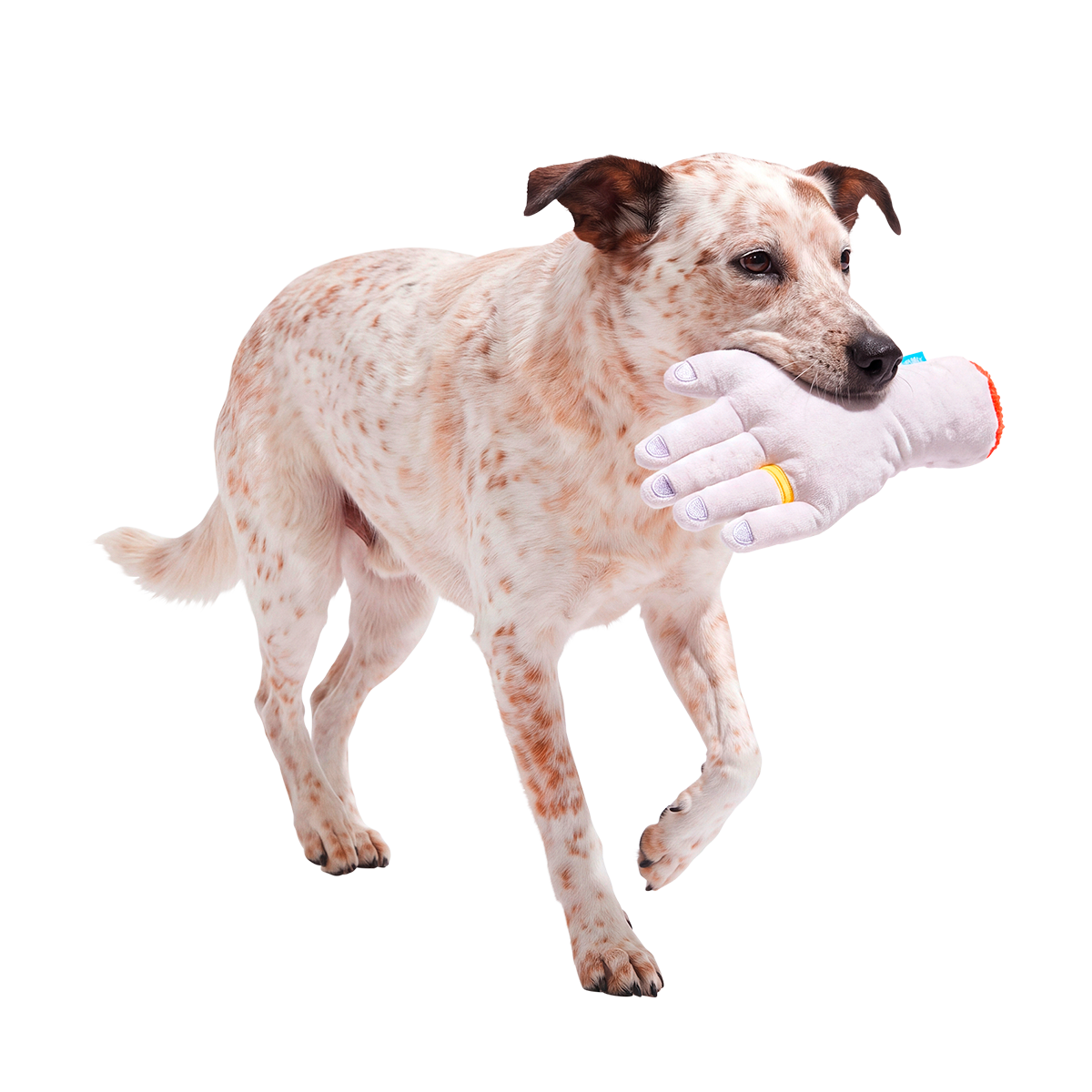 Til Death Chew Us Part Plush Tug Dog Toy