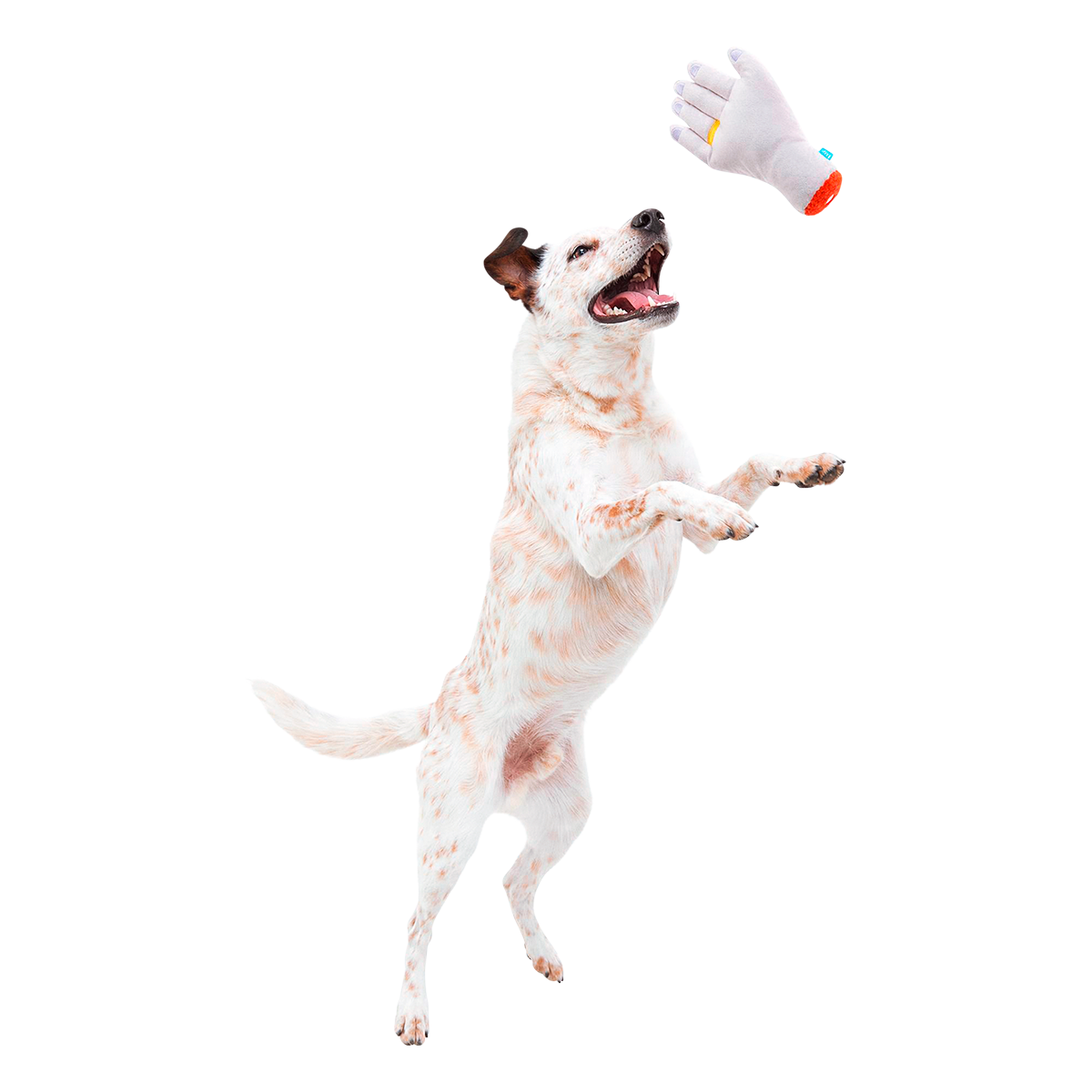 Til Death Chew Us Part Plush Tug Dog Toy