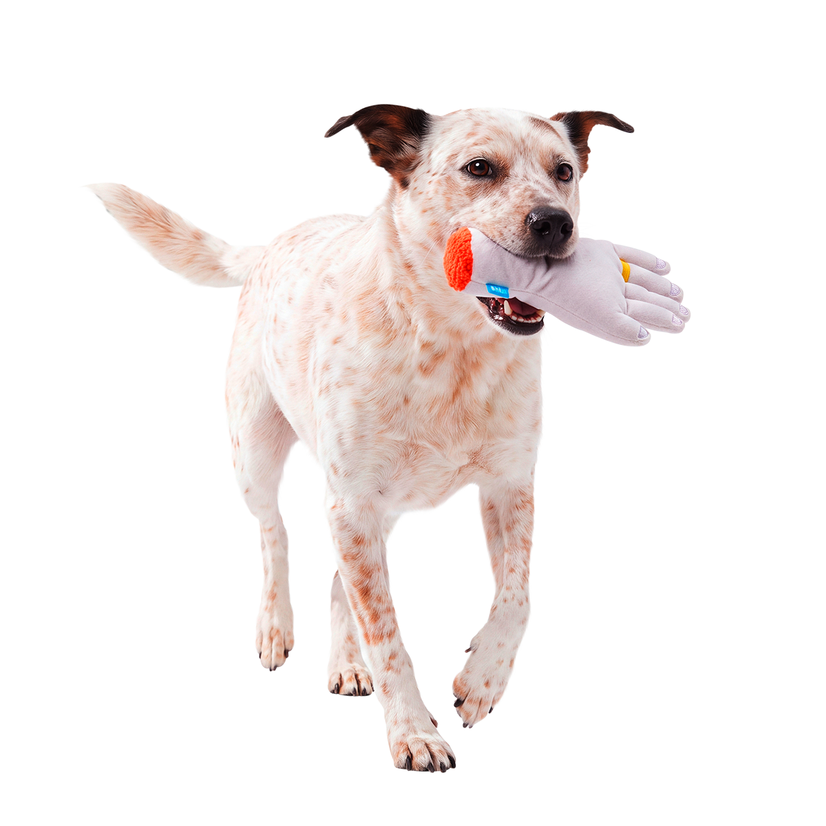 Til Death Chew Us Part Plush Tug Dog Toy