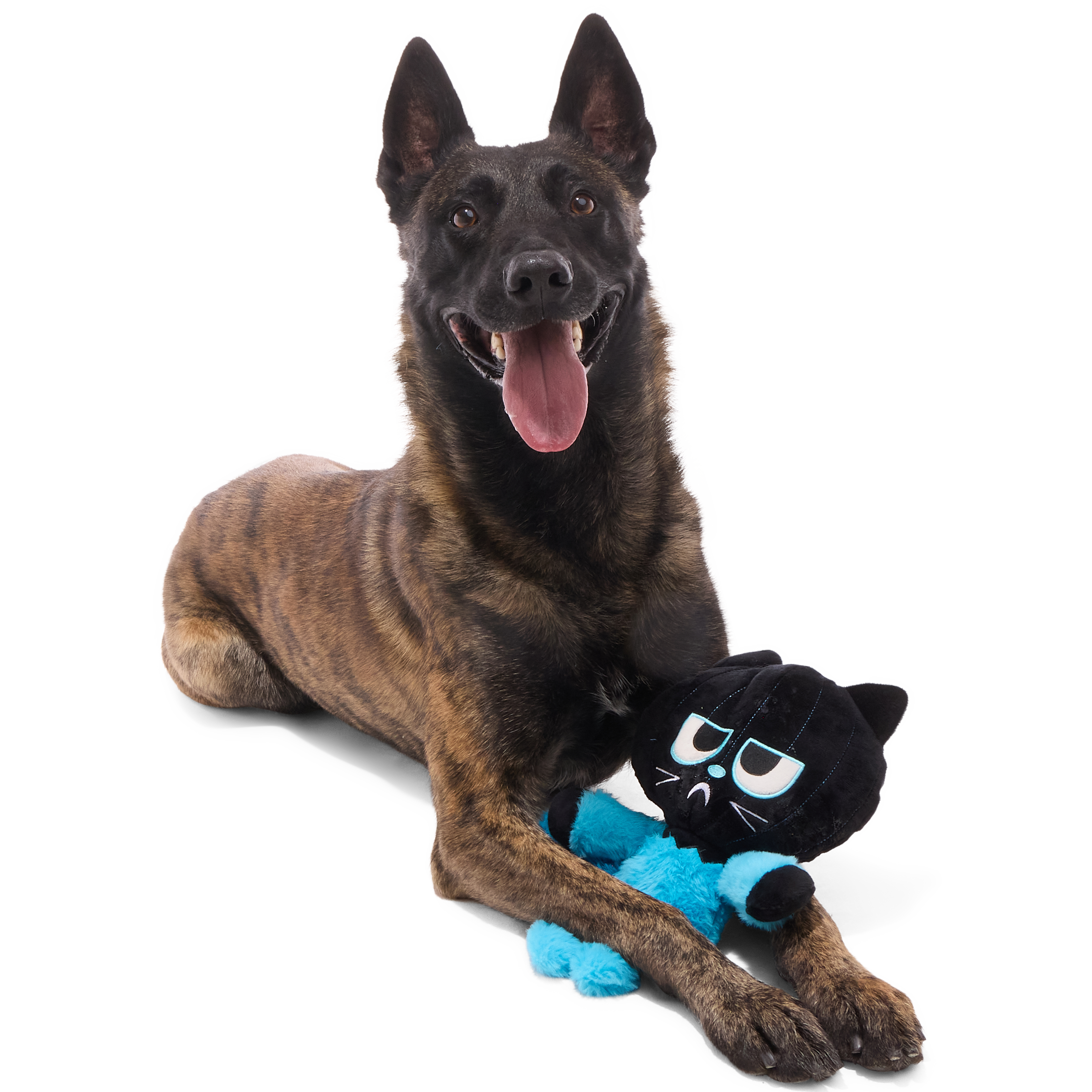 The Purrfect Crime Plush 2-in-1 Tug Dog Toy