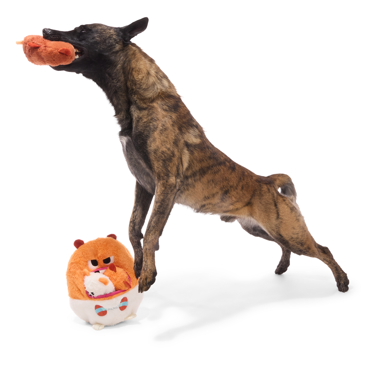 Hannibal Hamster Plush Extra-Large Multi-Part Dog Toy