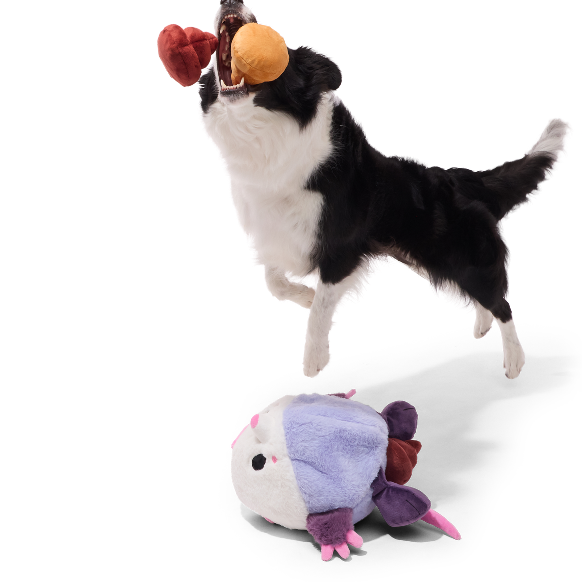 Poopers the Opossum Plush Extra-Large Multi-Part + Enrichment Dog Toy