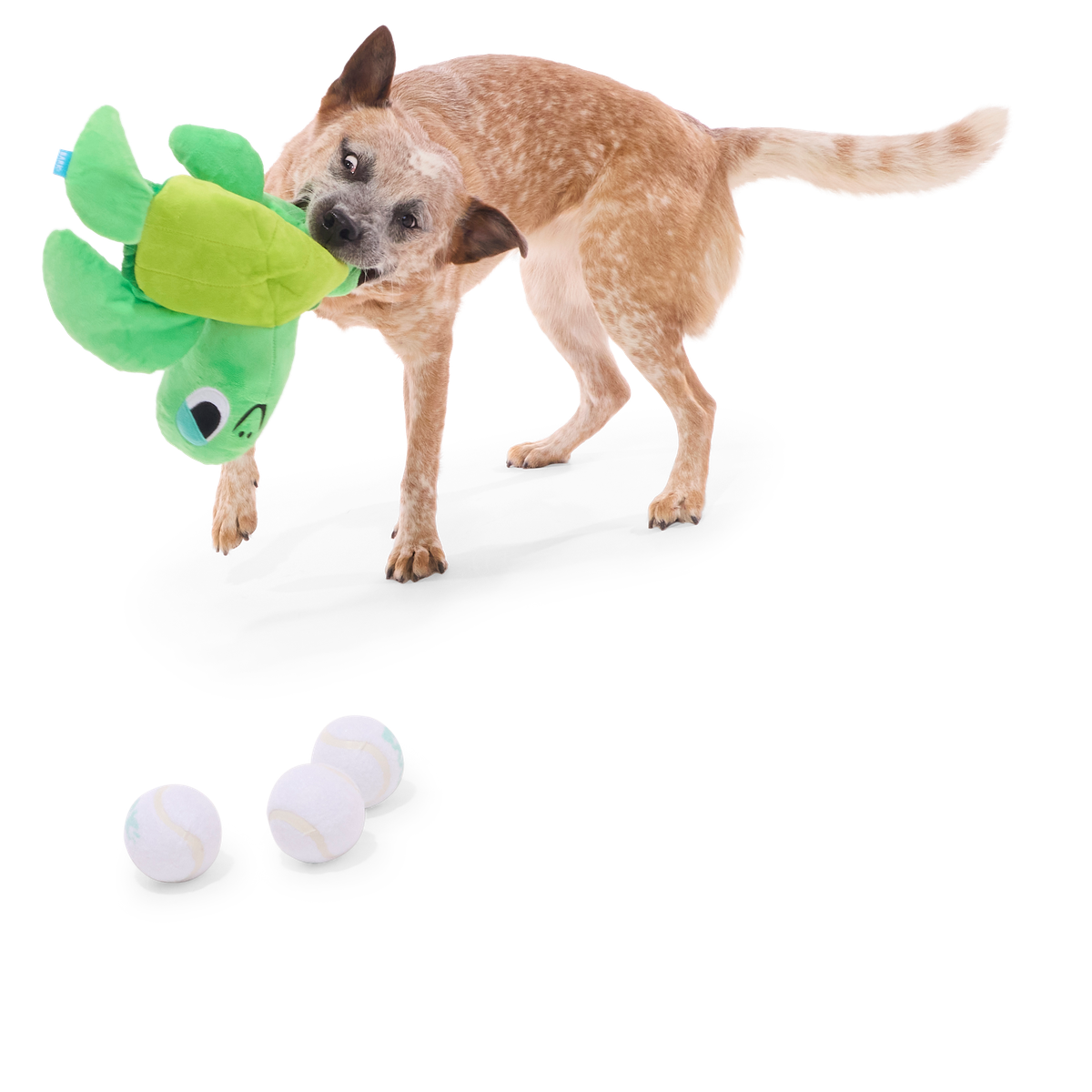 Fertile Myrtle Plush Extra- Large Enrichment + Fetch + 3-in-1 Dog Toy