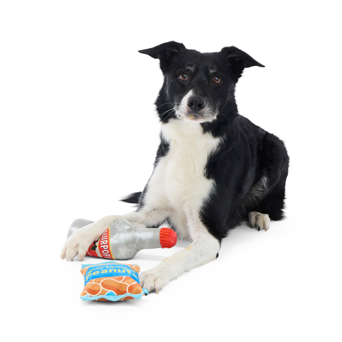 Please Remain Treated Plush Multi-Part Dog Toy