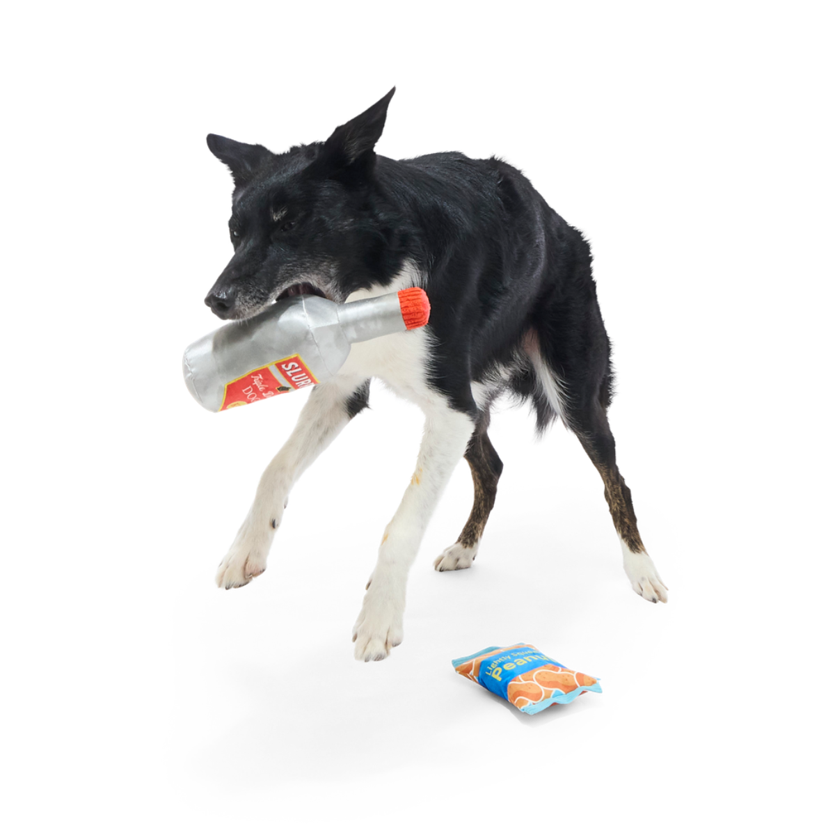 Please Remain Treated Plush Multi-Part Dog Toy
