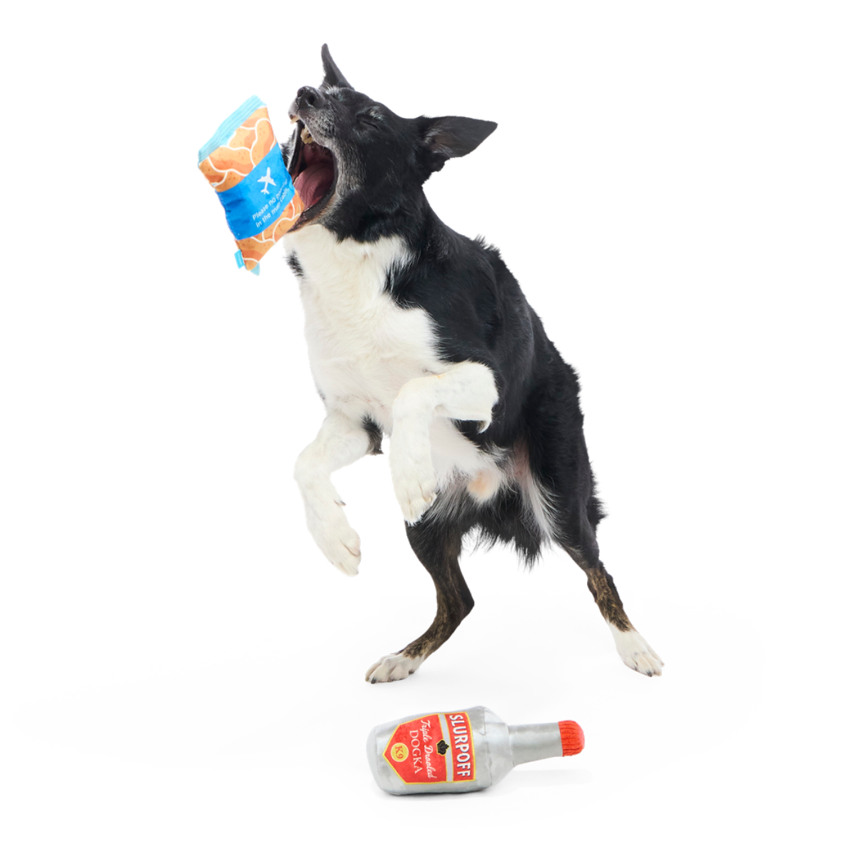Please Remain Treated Plush Multi-Part Dog Toy