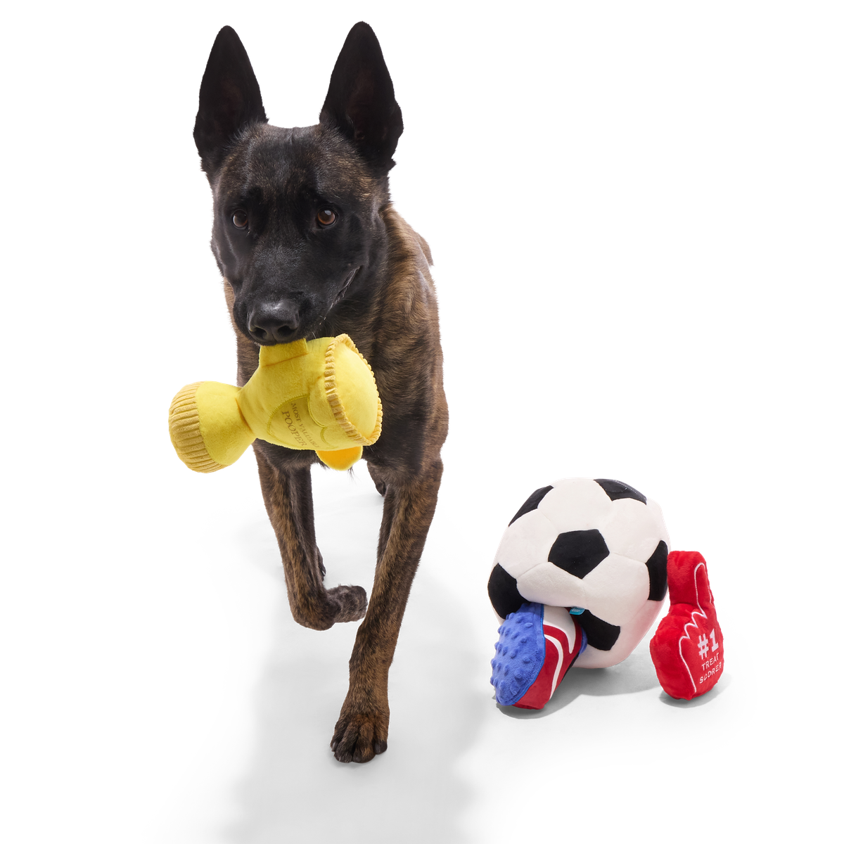 Snootbol Haul Plush Multi-Part + Enrichment Dog Toy
