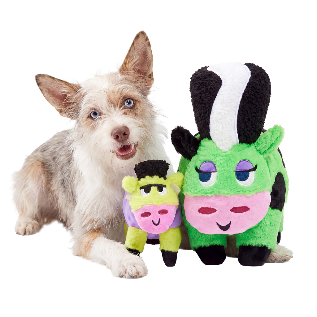 Bertha of Frankenstein Plush Extra-Large + Tug + Enrichment Dog