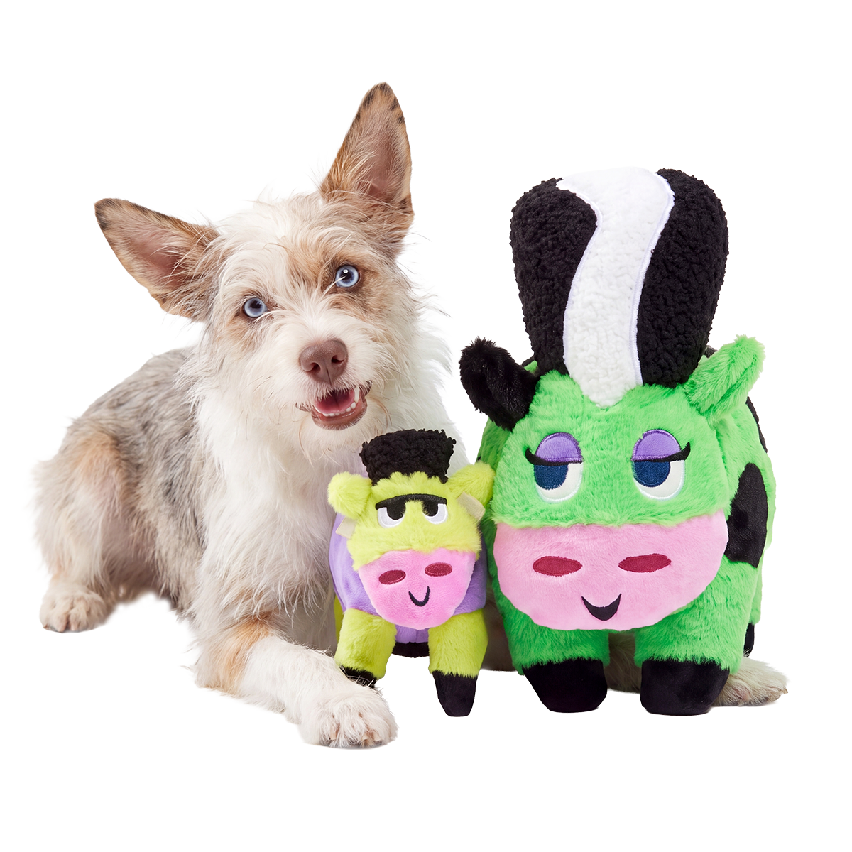 Bertha of Frankenstein Plush Extra-Large + Tug + Enrichment Dog Toy