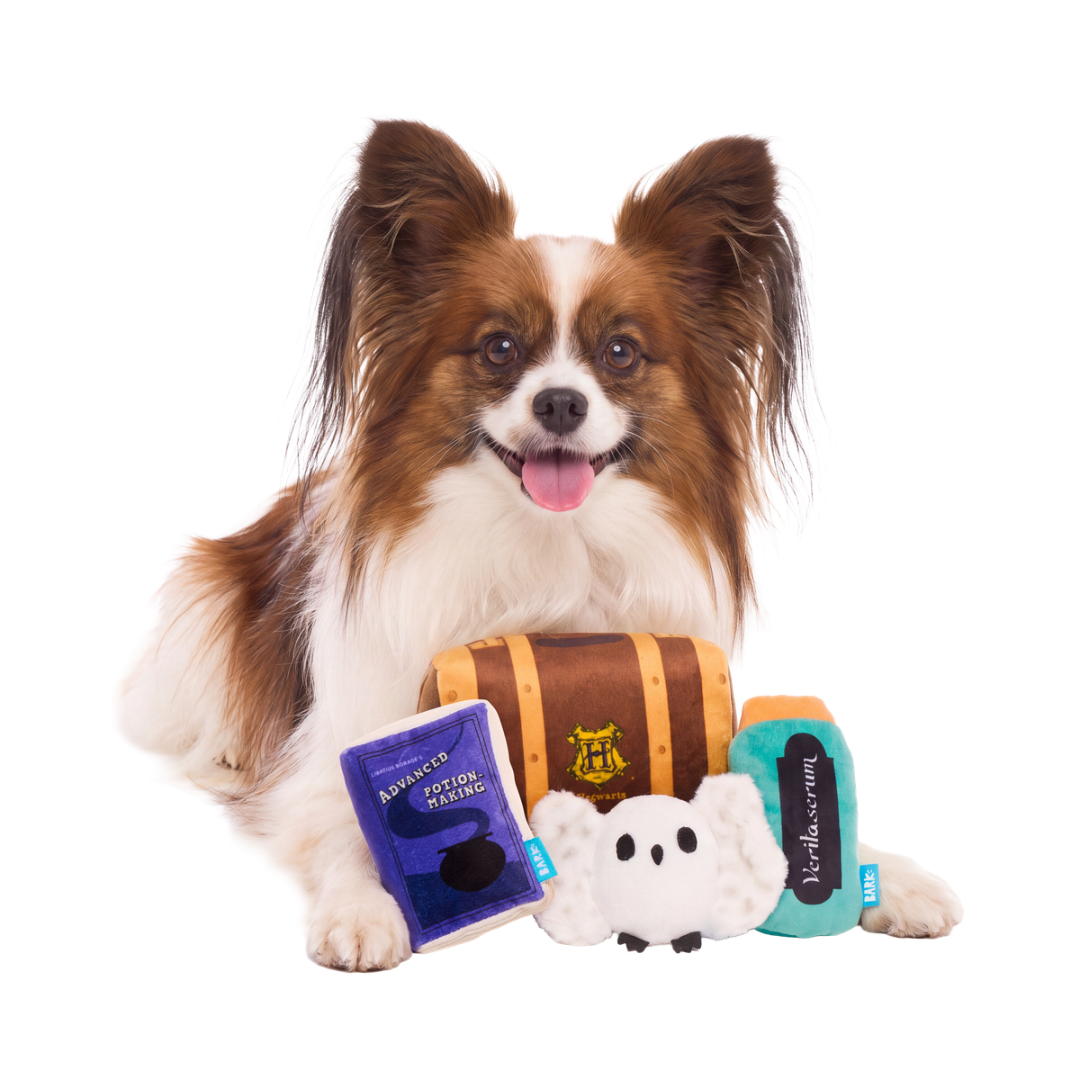 Hogwarts™ Trunk Plush Multi-Part + Enrichment Dog Toy