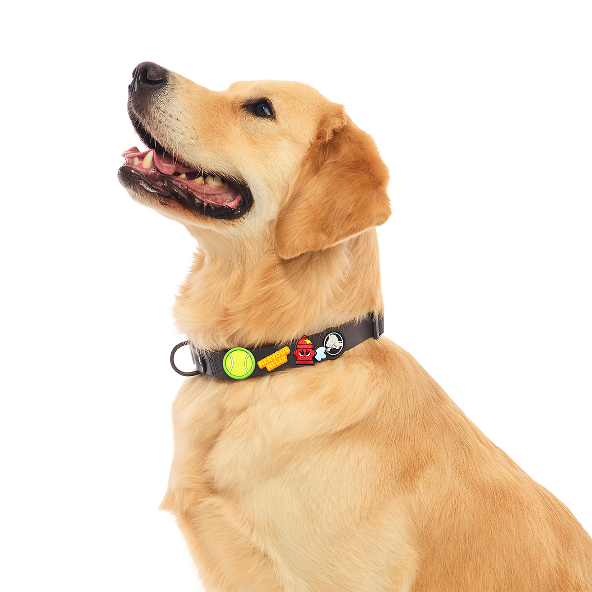 BARK Playtime 5-Pack Crocs Jibbitz™ Charms