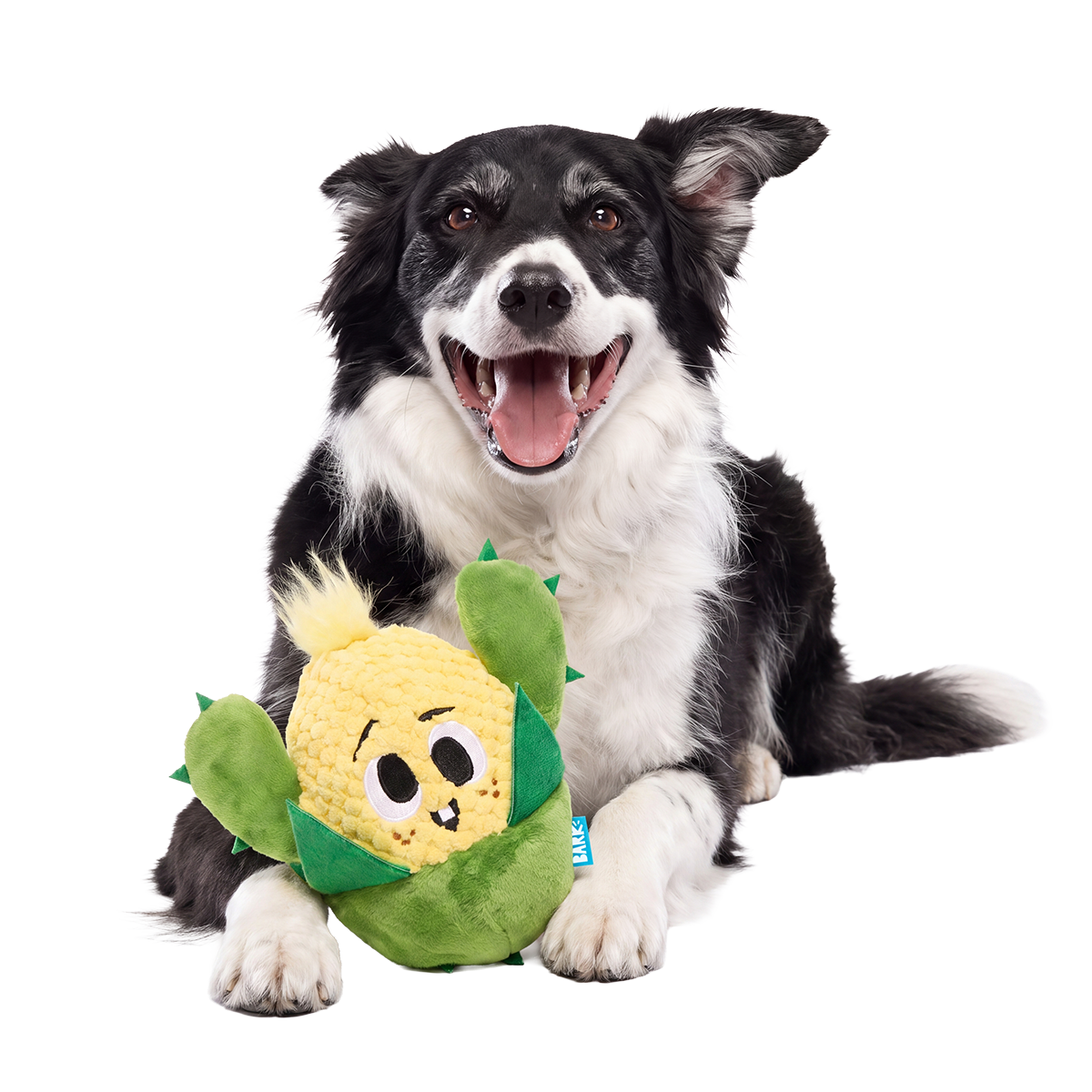 Consuela the Cactus Club, Plush 2-in-1 Monthly Dog Toys