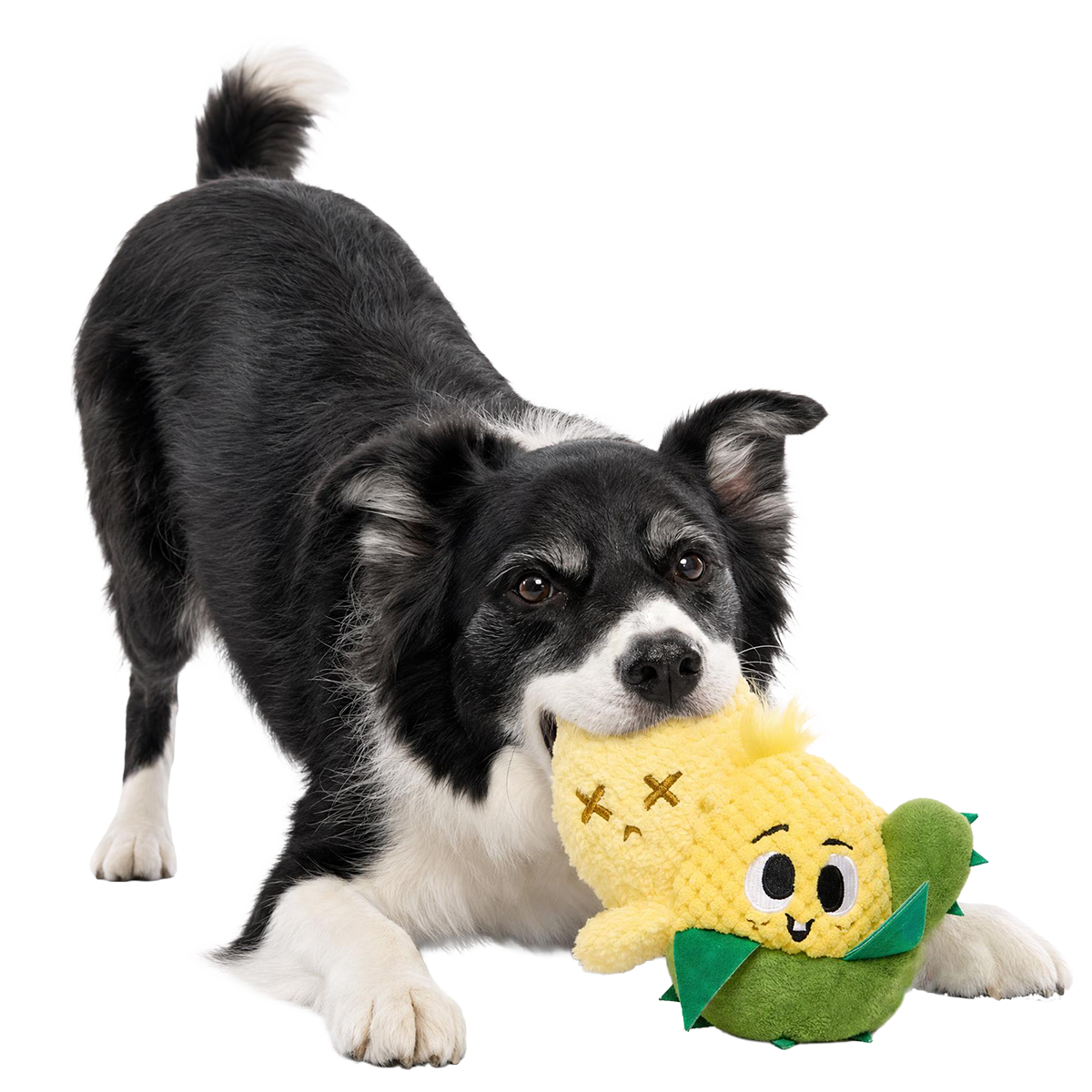 Consuela the Cactus Club, Plush 2-in-1 Monthly Dog Toys