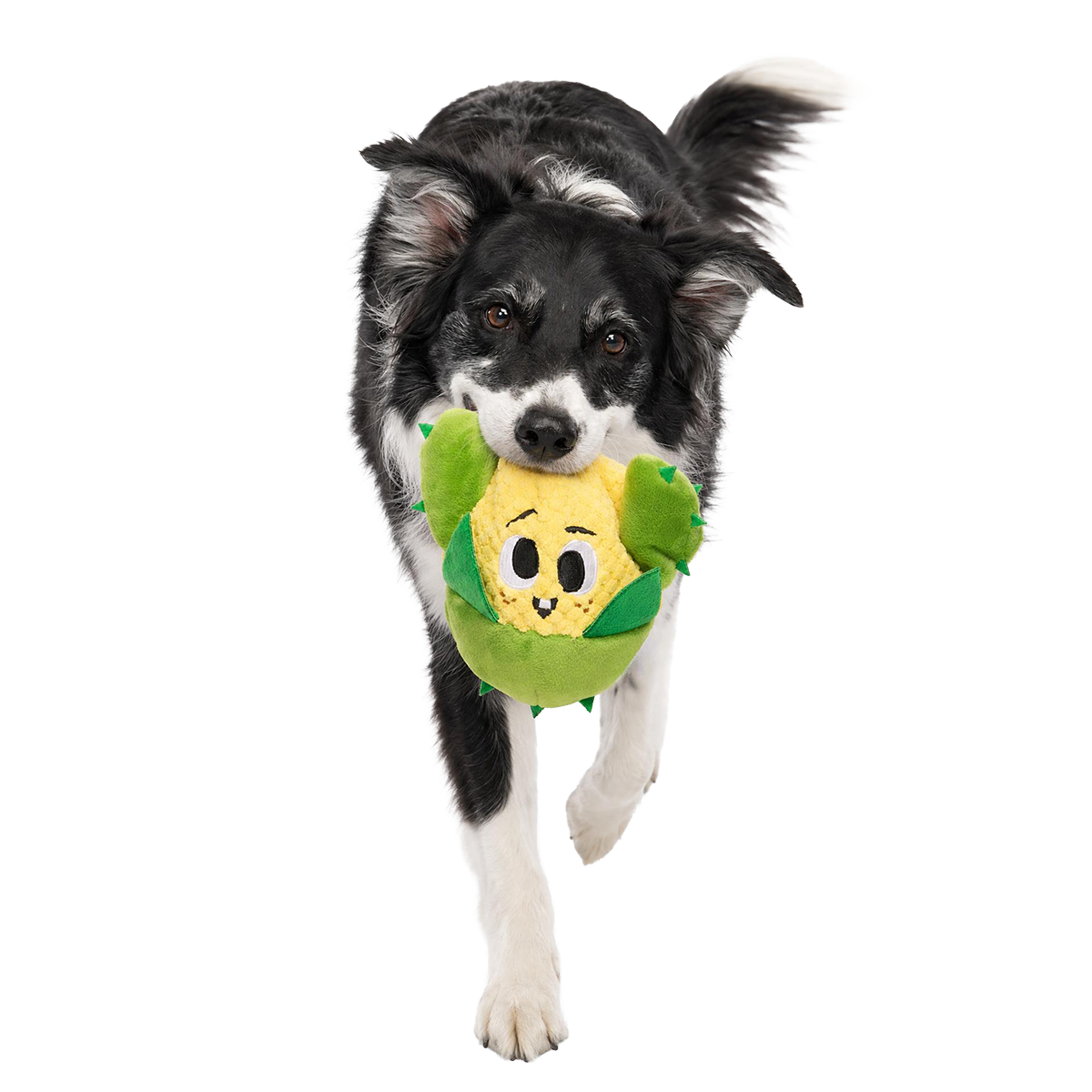 Consuela the Cactus Club, Plush 2-in-1 Monthly Dog Toys