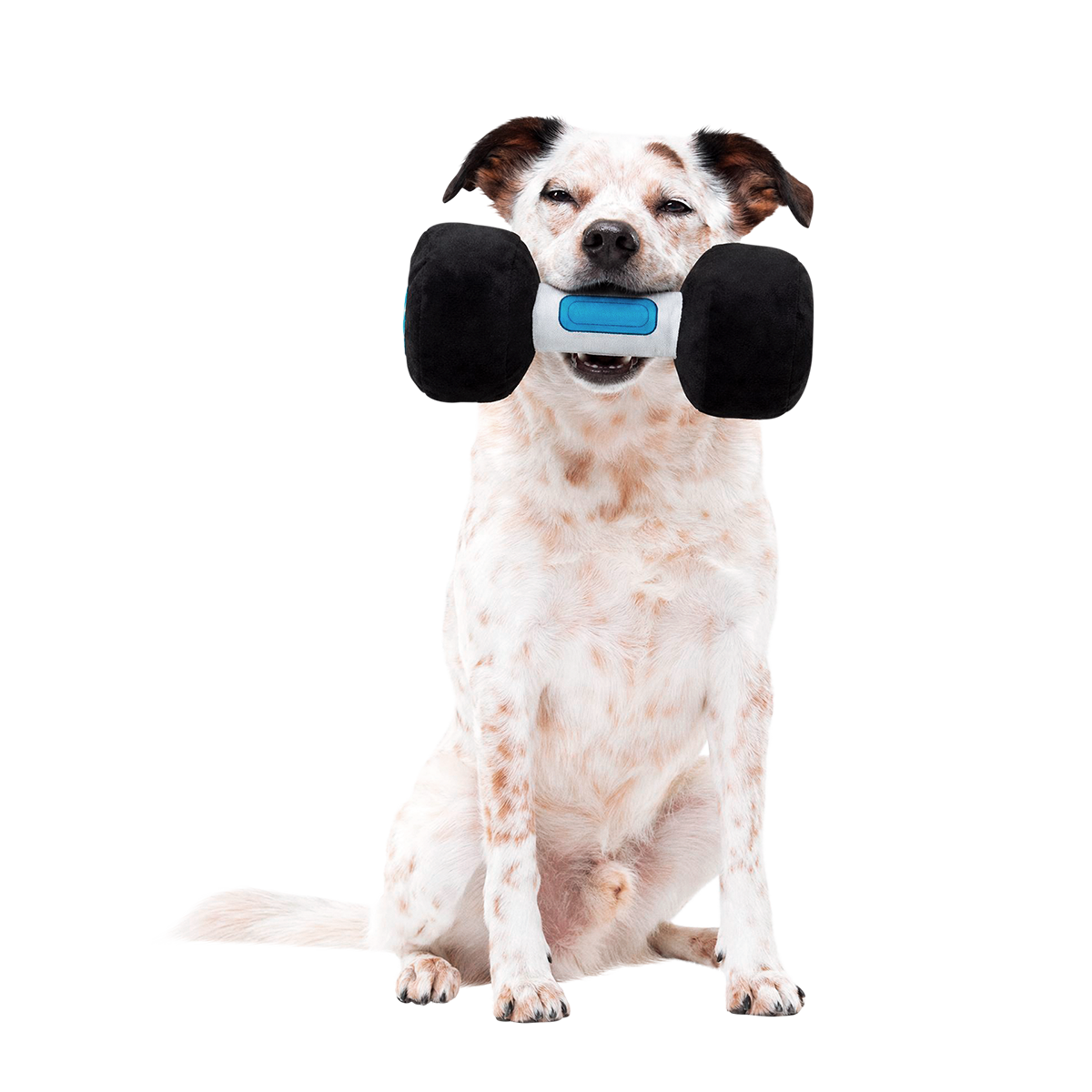 The Barkbell Plush Tug Dog Toy