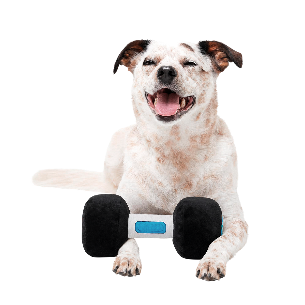 The Barkbell Plush Tug Dog Toy