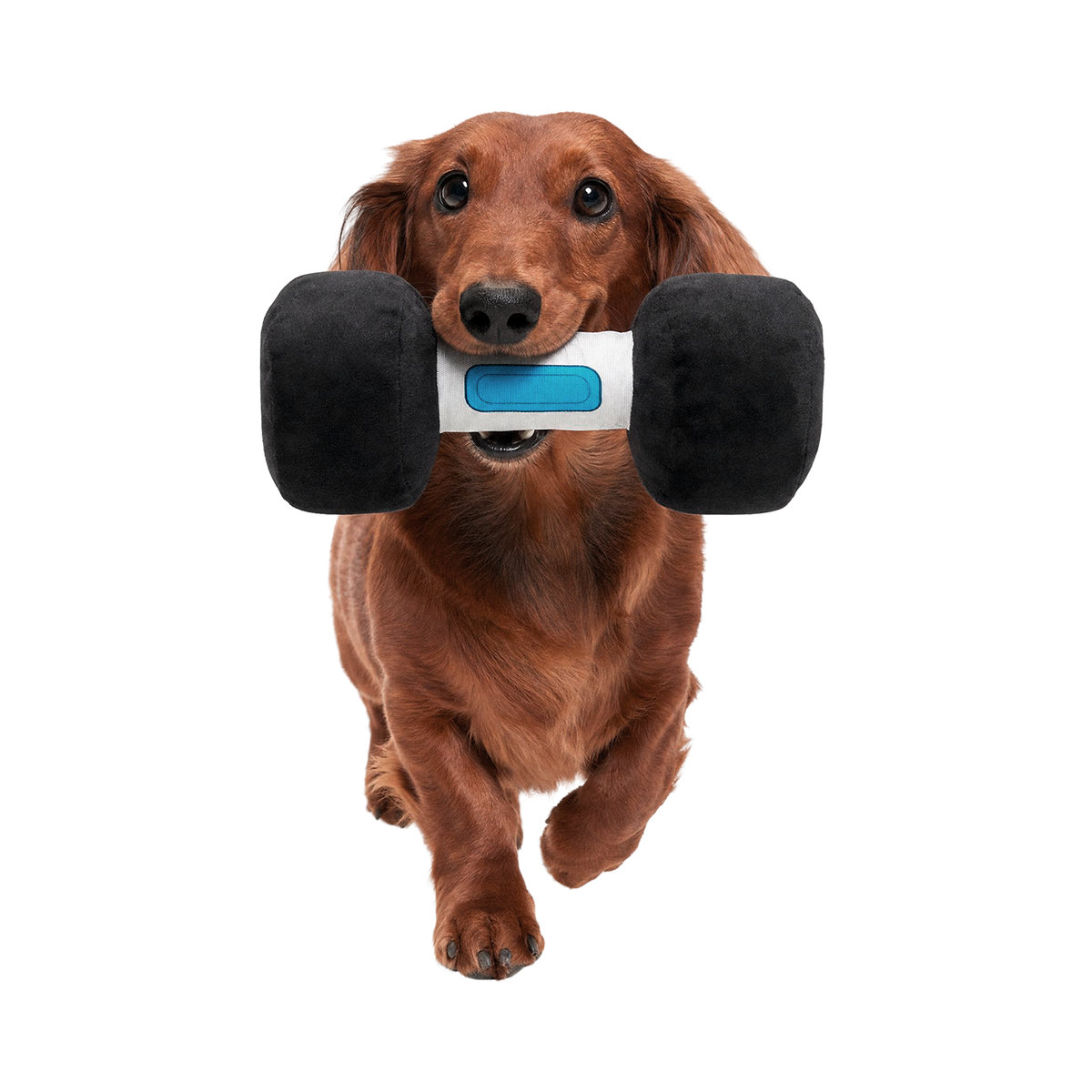 The Barkbell Plush Tug Dog Toy
